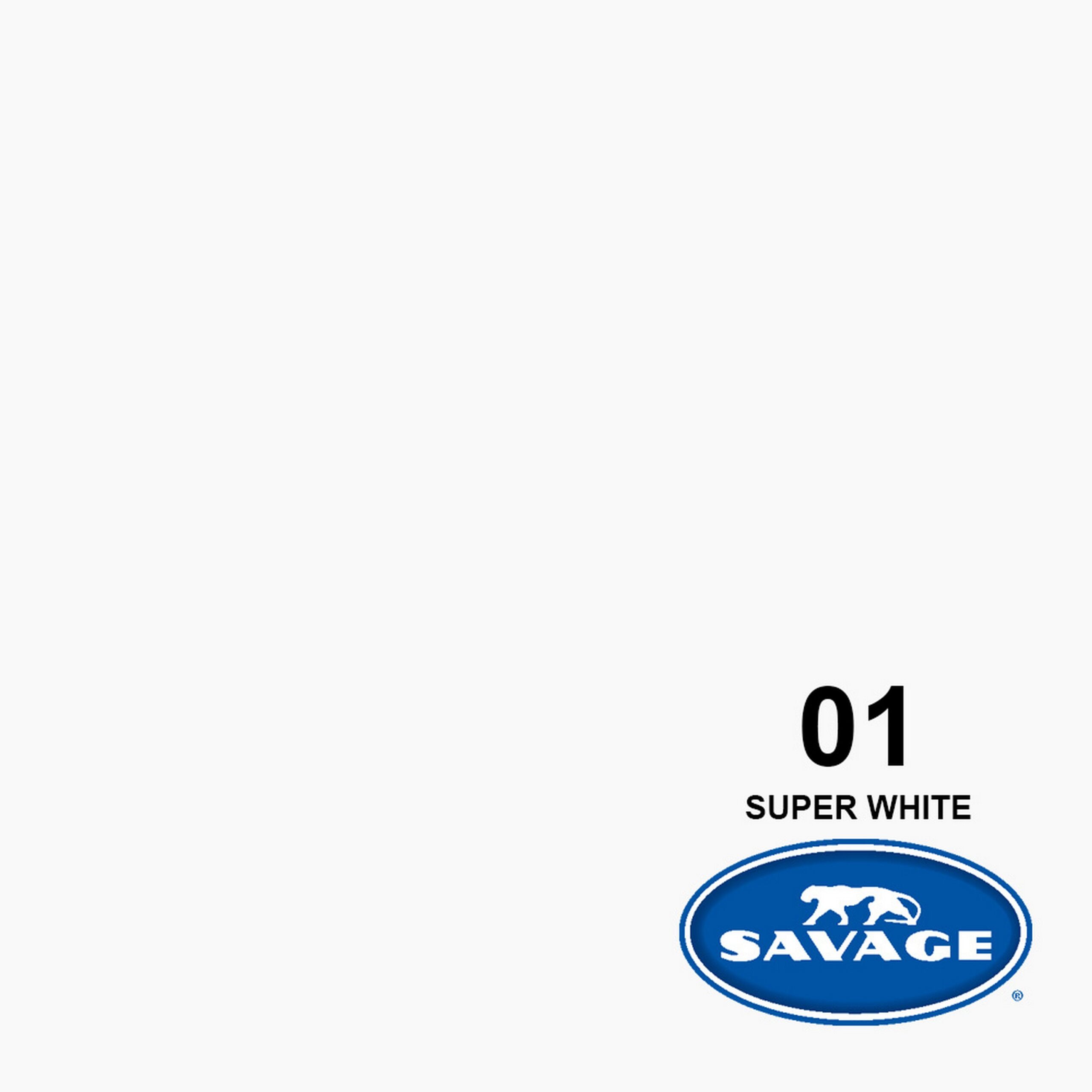 Savage Super White 107-Inch x 50-Yards High-Quality Widetone Seamless Background Paper