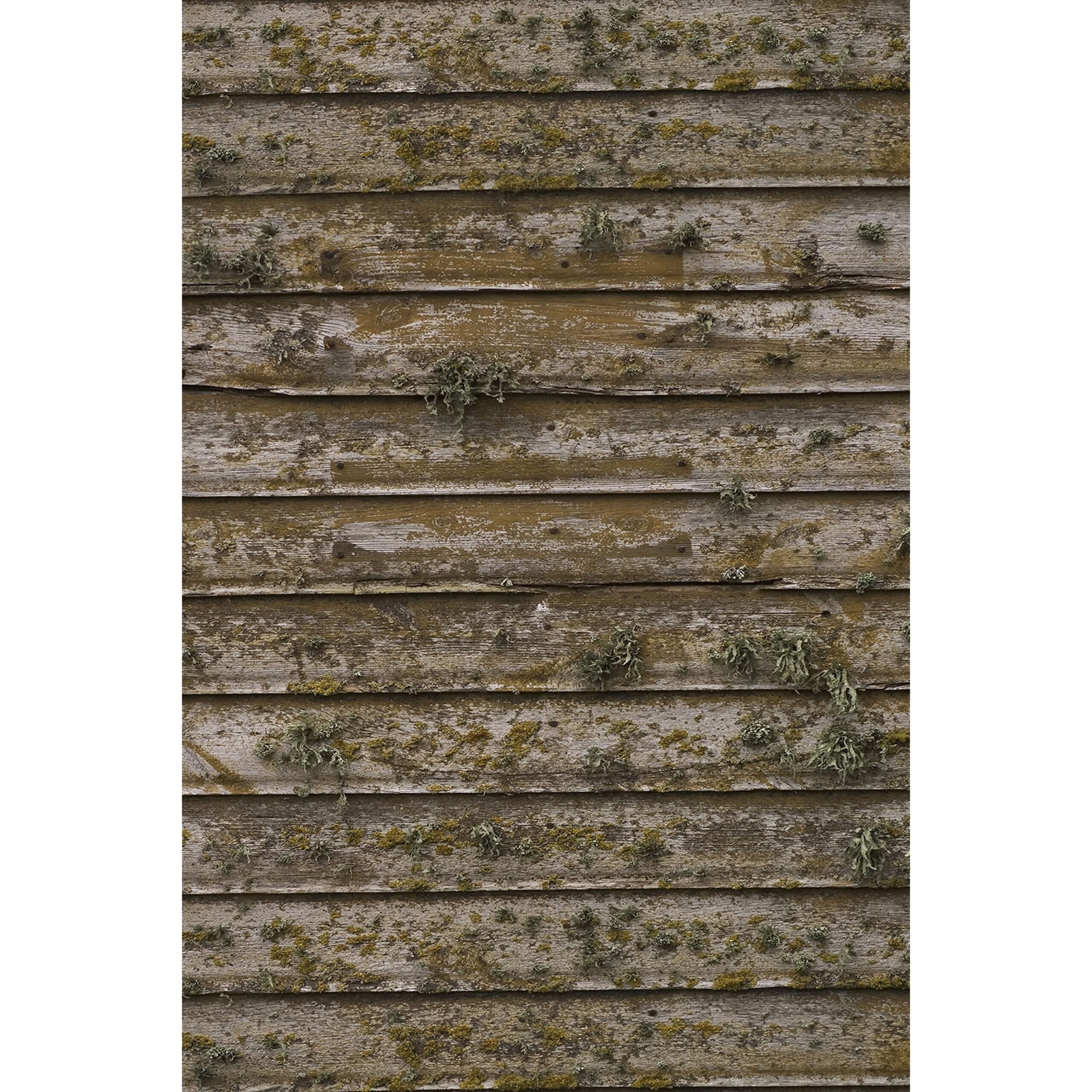 Savage 5 x 7-Foot Large-Sized Printed Vinyl Photography Background with Distressed Wood Wall Design