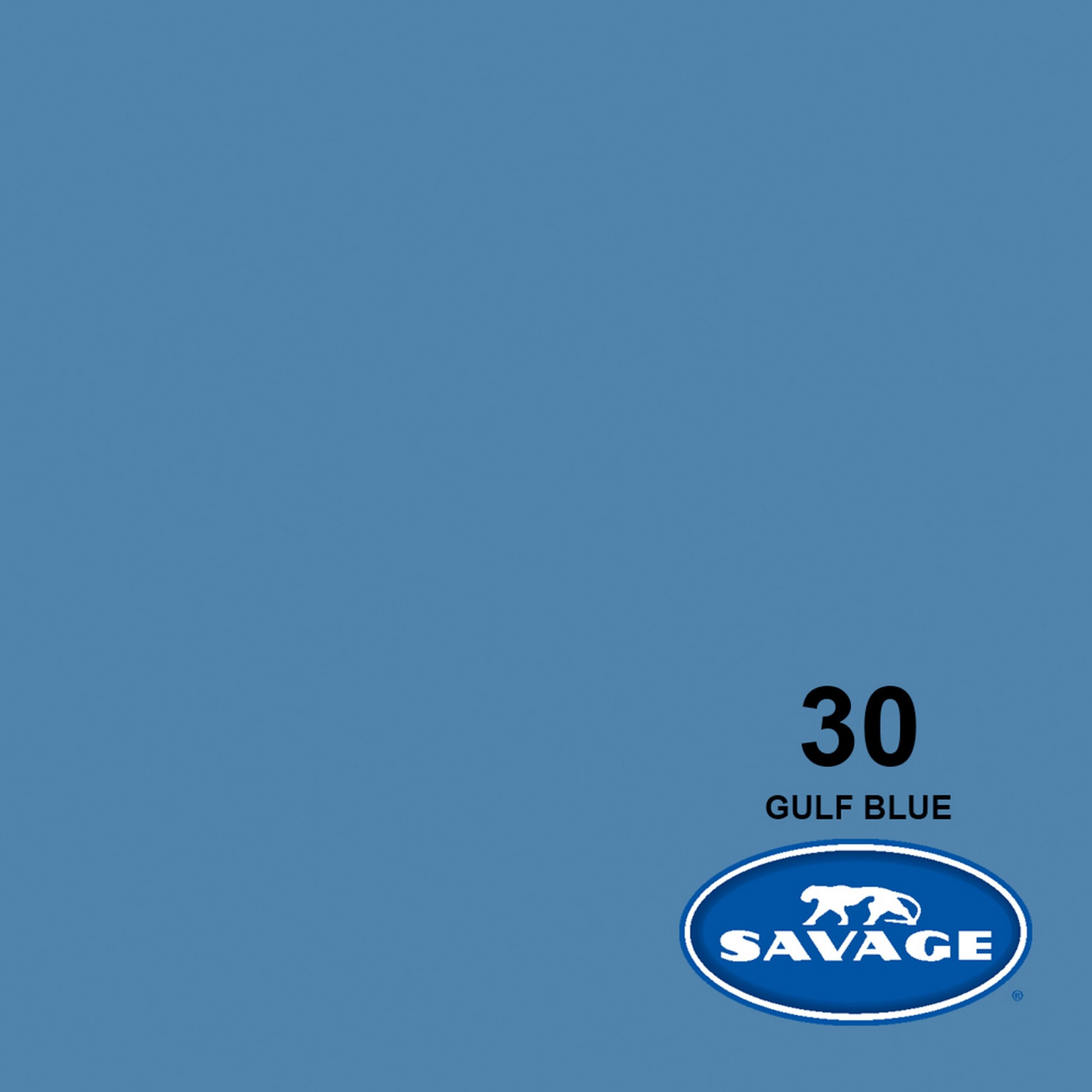 Savage 107-Inch x 50-Yards Gulf Blue Widetone Seamless Photography Background Paper
