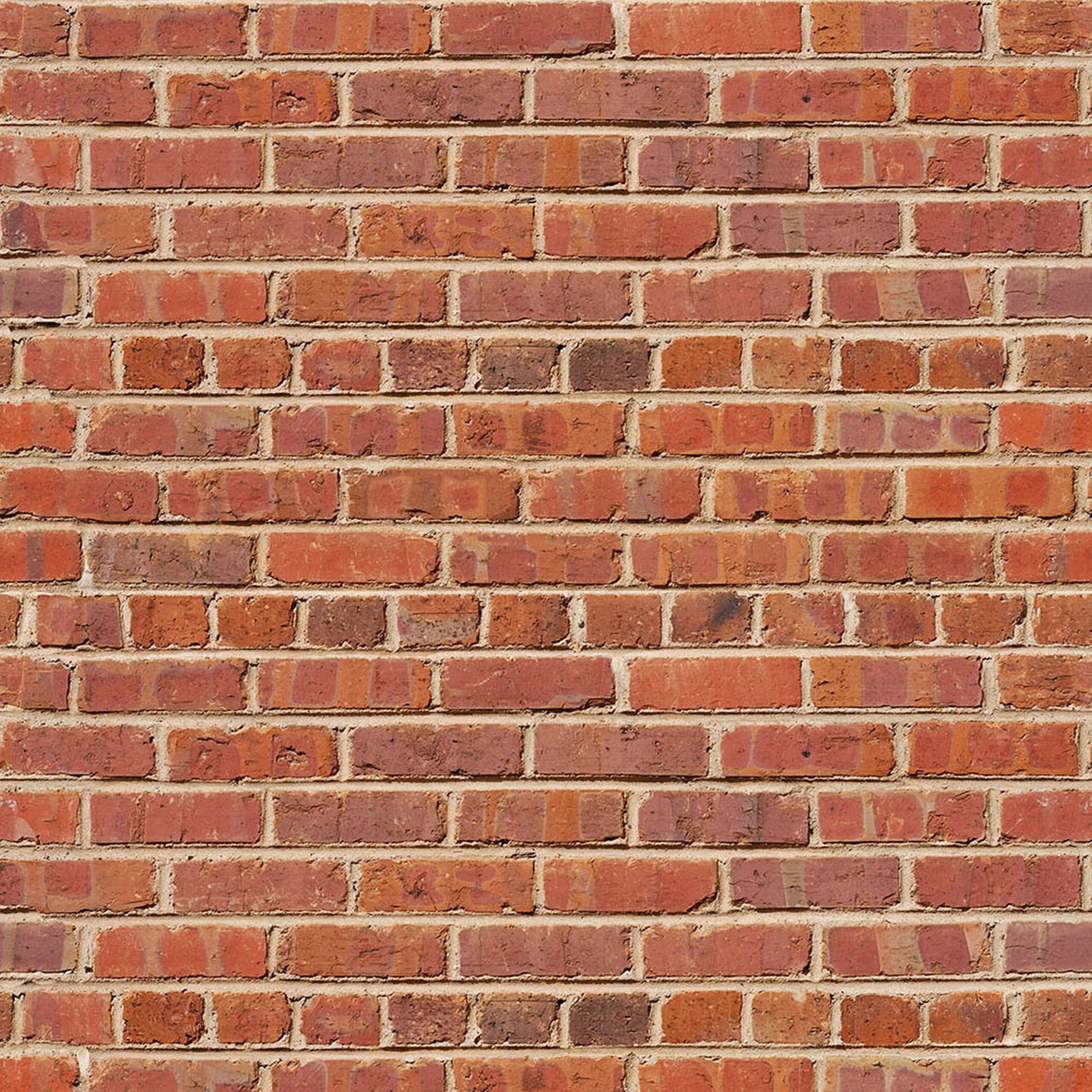 Savage High - Quality 53 - Inch by 18 - Feet Red Brick Pattern Printed Photography Paper Background