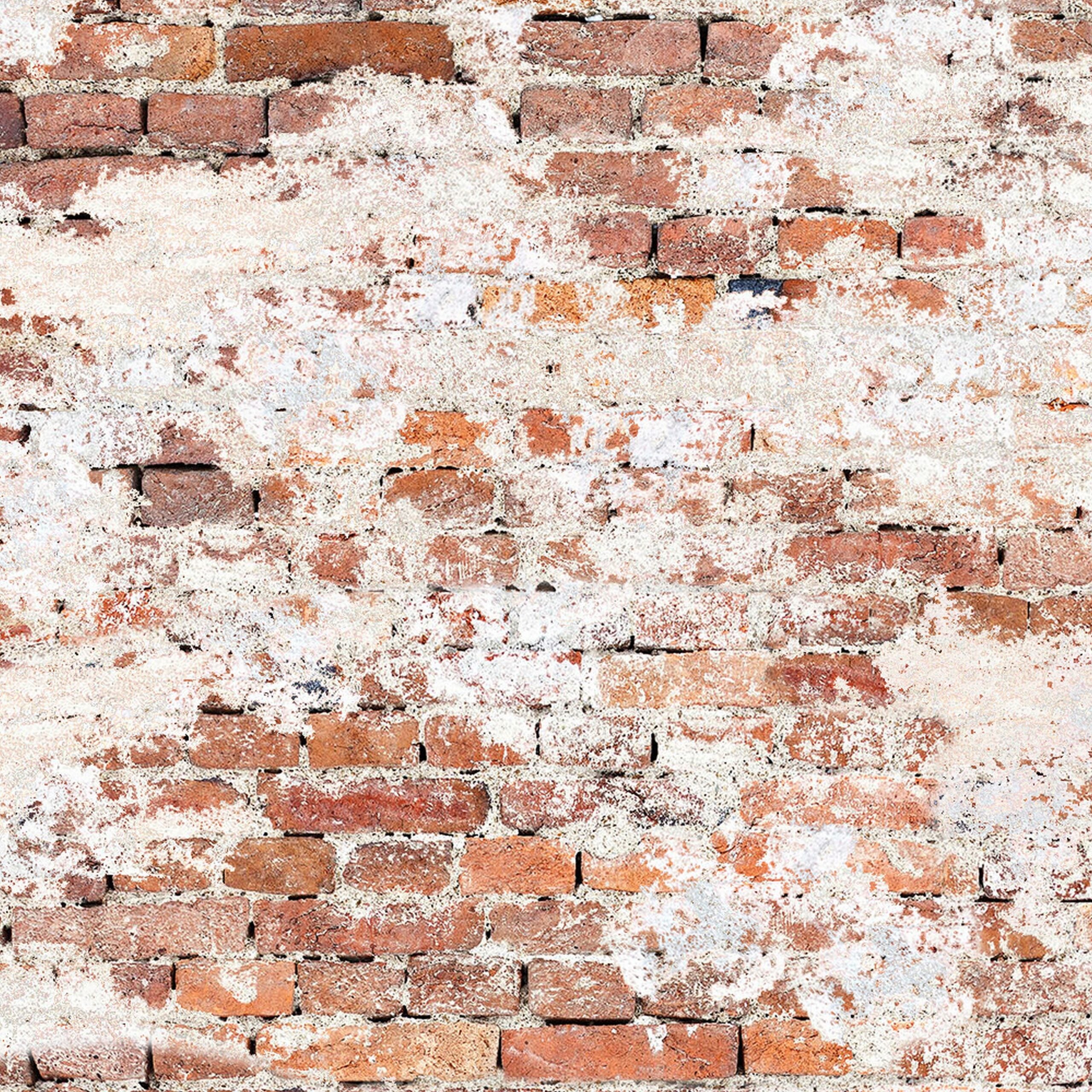 Savage 53-Inch Wide by 18-Feet Long Printed Paper Backdrop for Photography and Events
