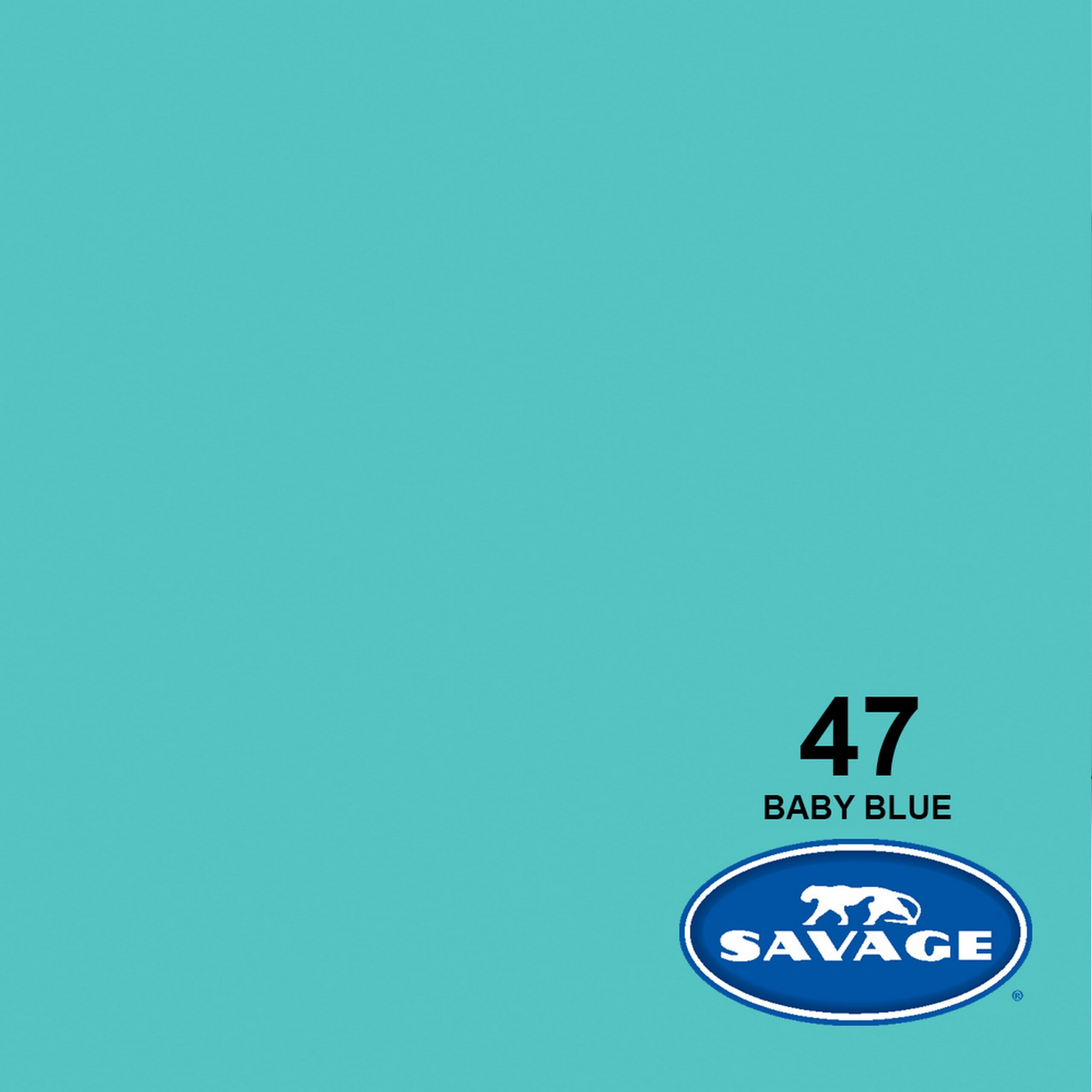 Savage Baby Blue Widetone Seamless Background Paper, 107-Inch x 50-Yards