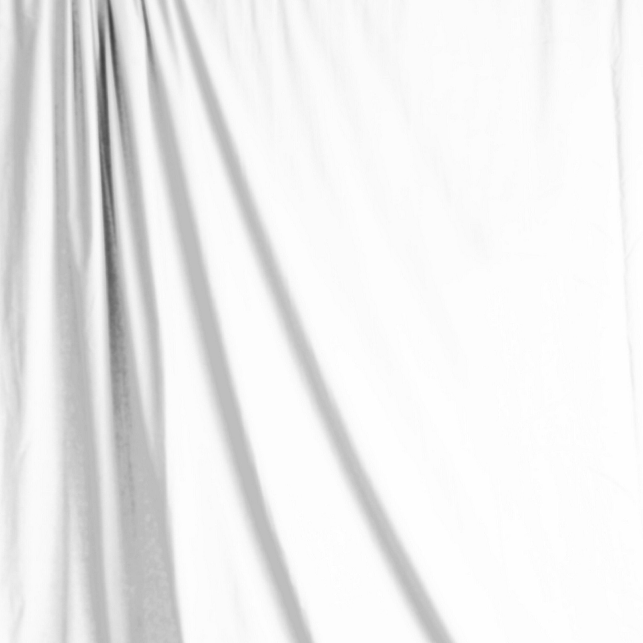 Savage Professional Heavy-Duty 10 x 20-Foot Solid White Muslin Photography Background