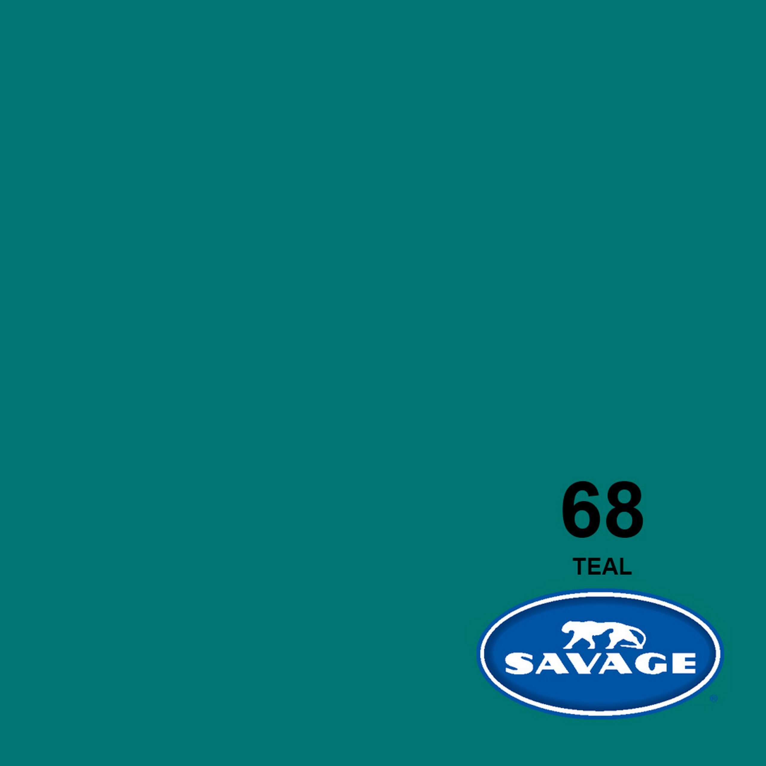 Teal 107-Inch x 50-Yards High-Quality Savage Widetone Seamless Background Paper