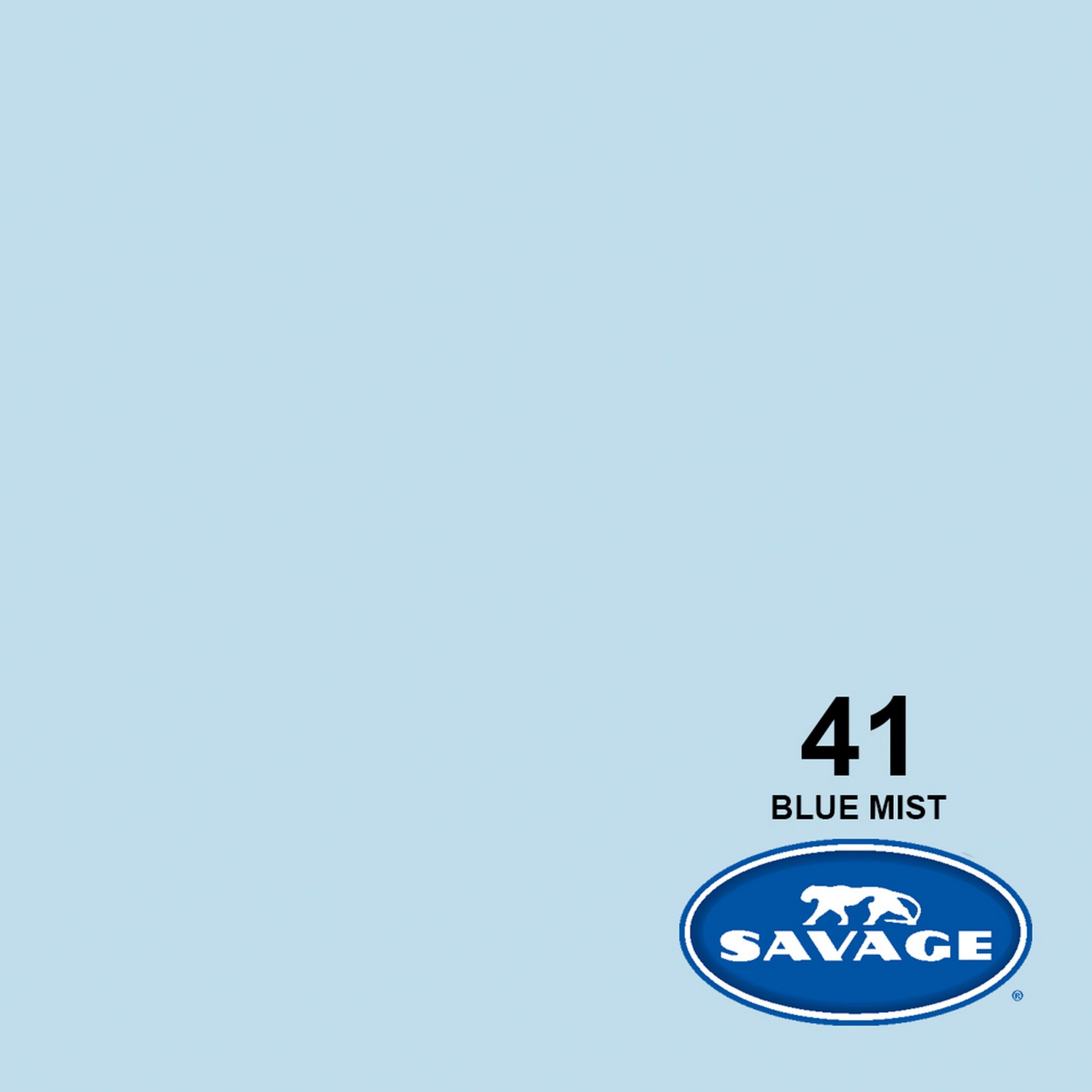 Savage 107-Inch by 50-Yards Blue Mist Widetone Seamless Photography Background Paper