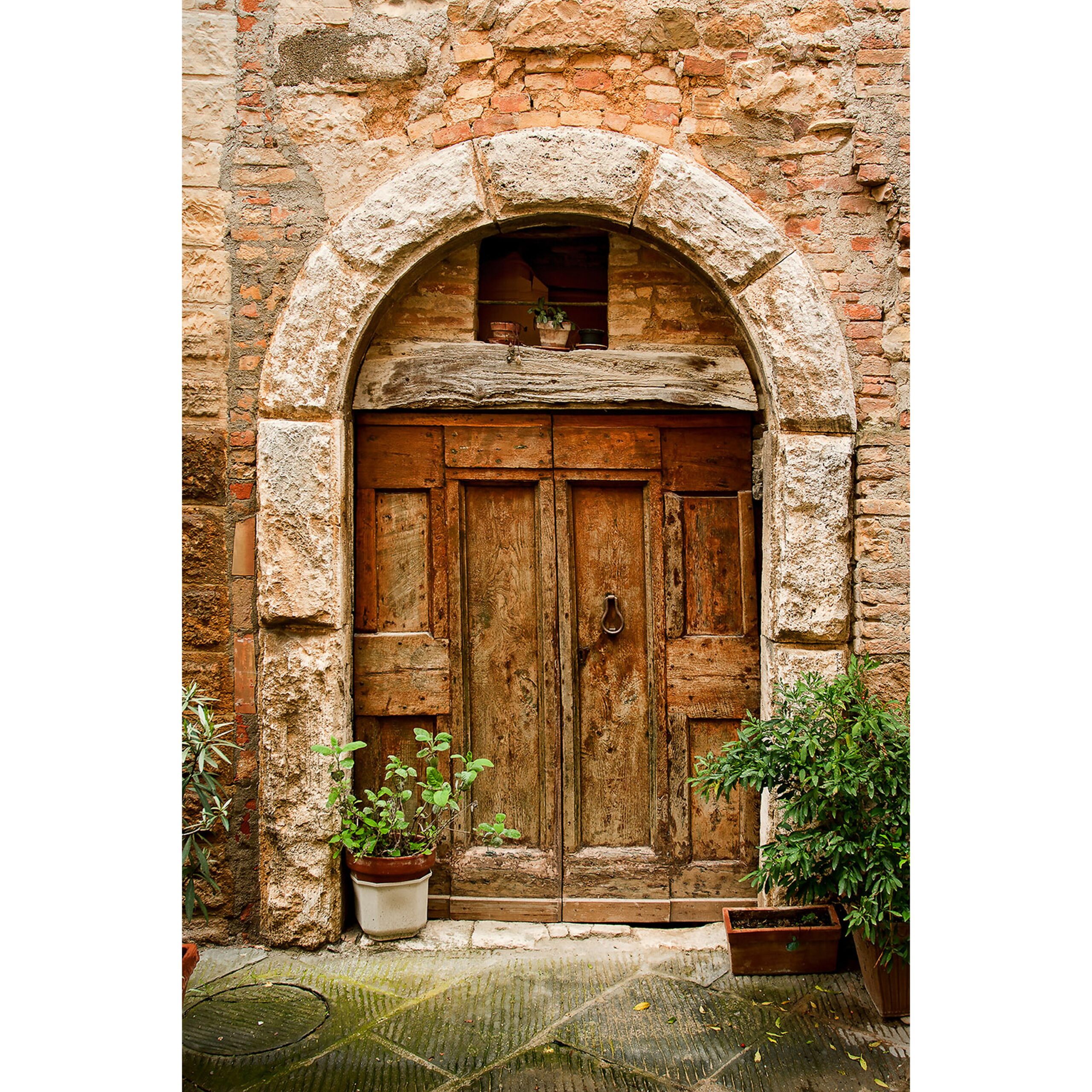 Savage 5 x 7-Foot Large-Sized Printed Vinyl Photography Background with Italian Doorway Design