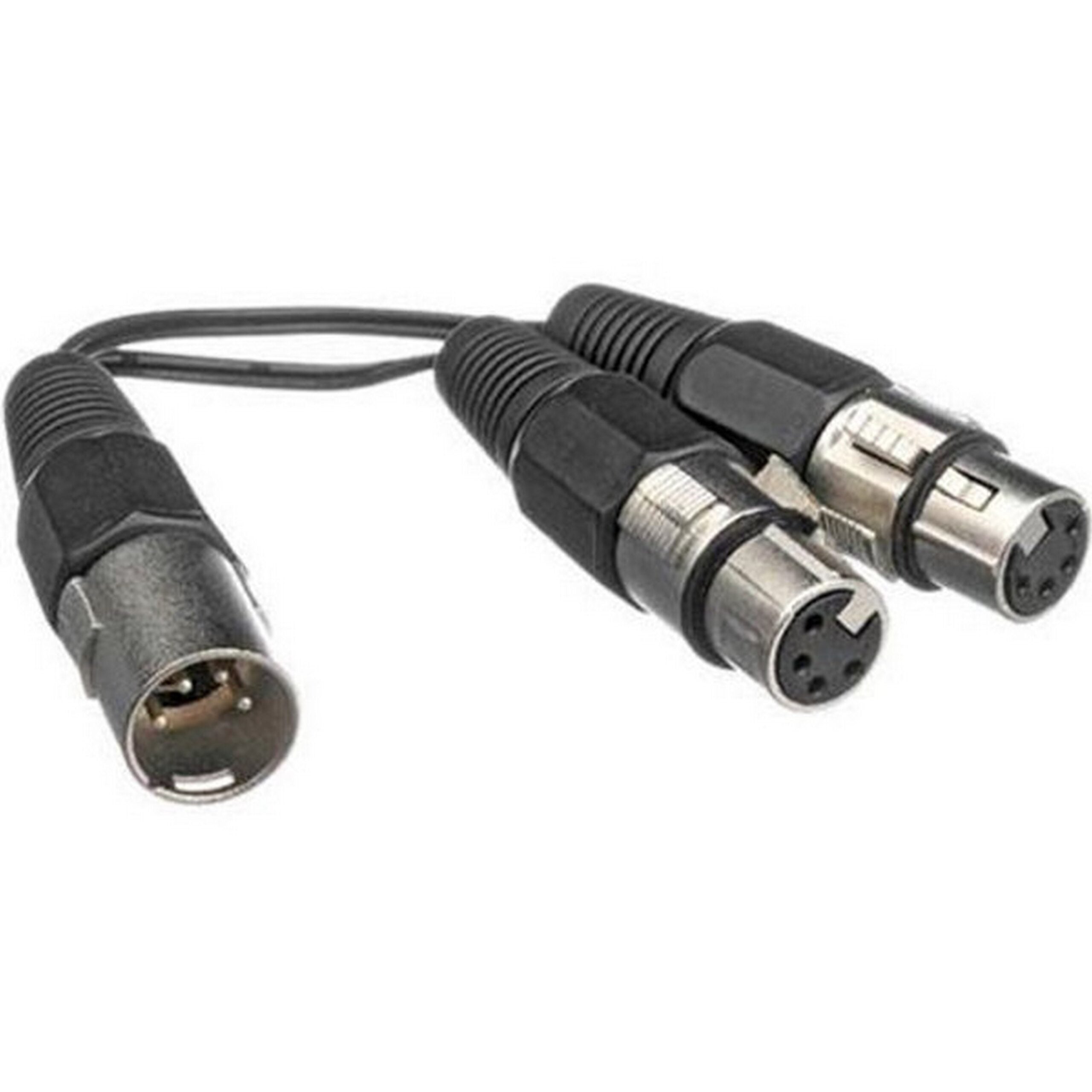 Bescor 6-Inch Single 4-Pin XLR Male to Dual 4-Pin XLR Female Adapter