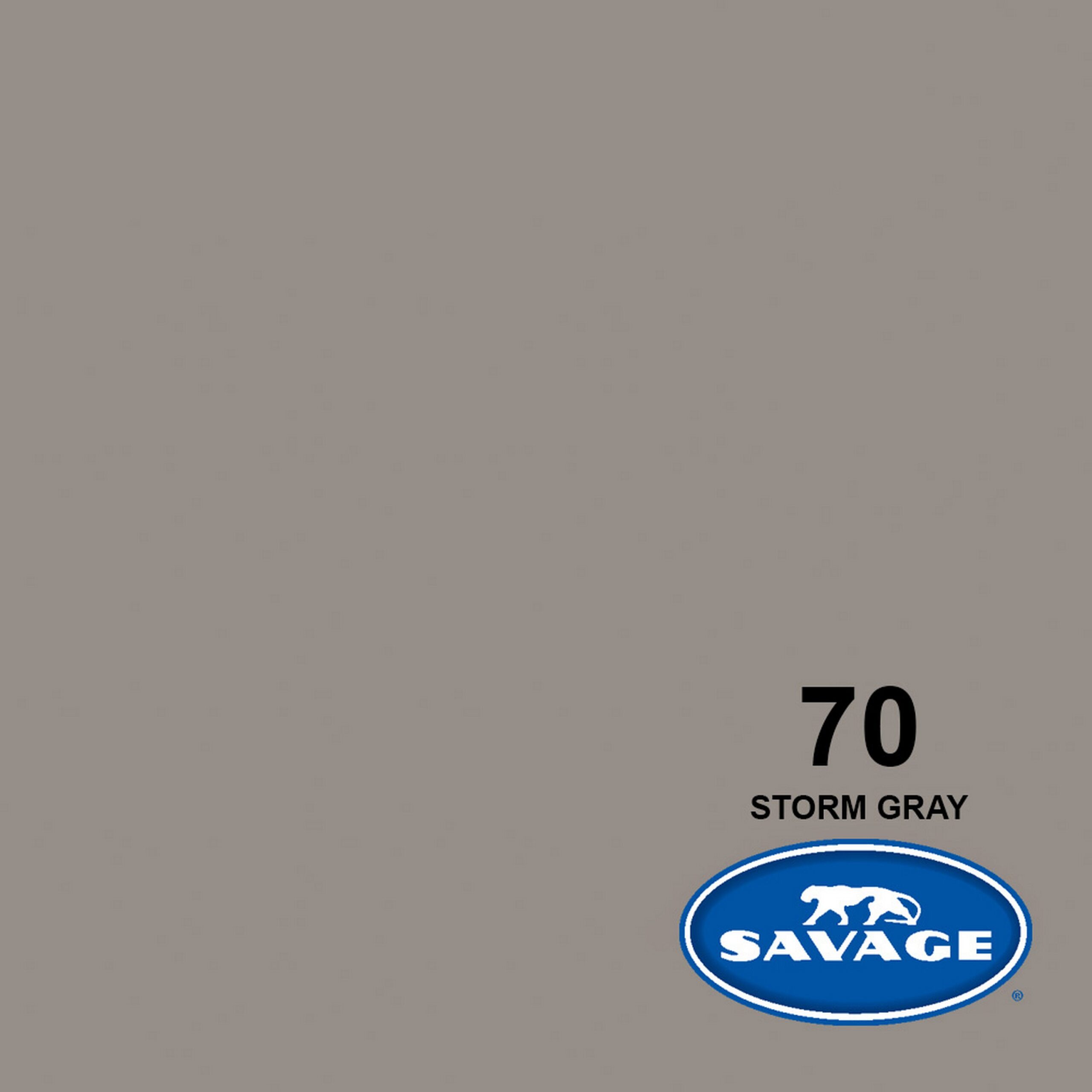 Savage Professional Grade 107-Inch by 50-Yards Widetone Seamless Background Paper in Storm Gray Shade for Photography and Crafts