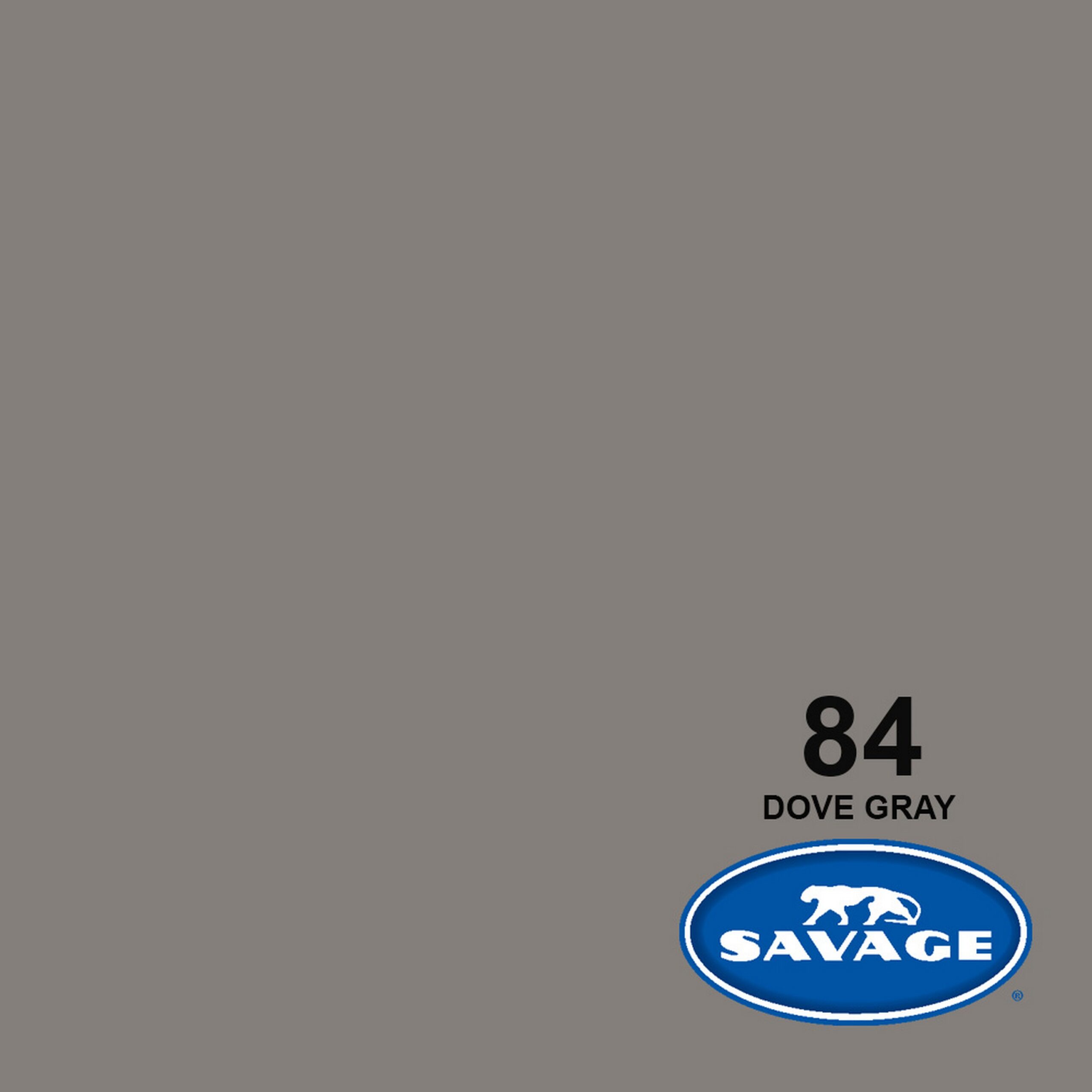Dove Gray 53-Inch x 12-Yards High-Quality Savage Widetone Seamless Background Paper