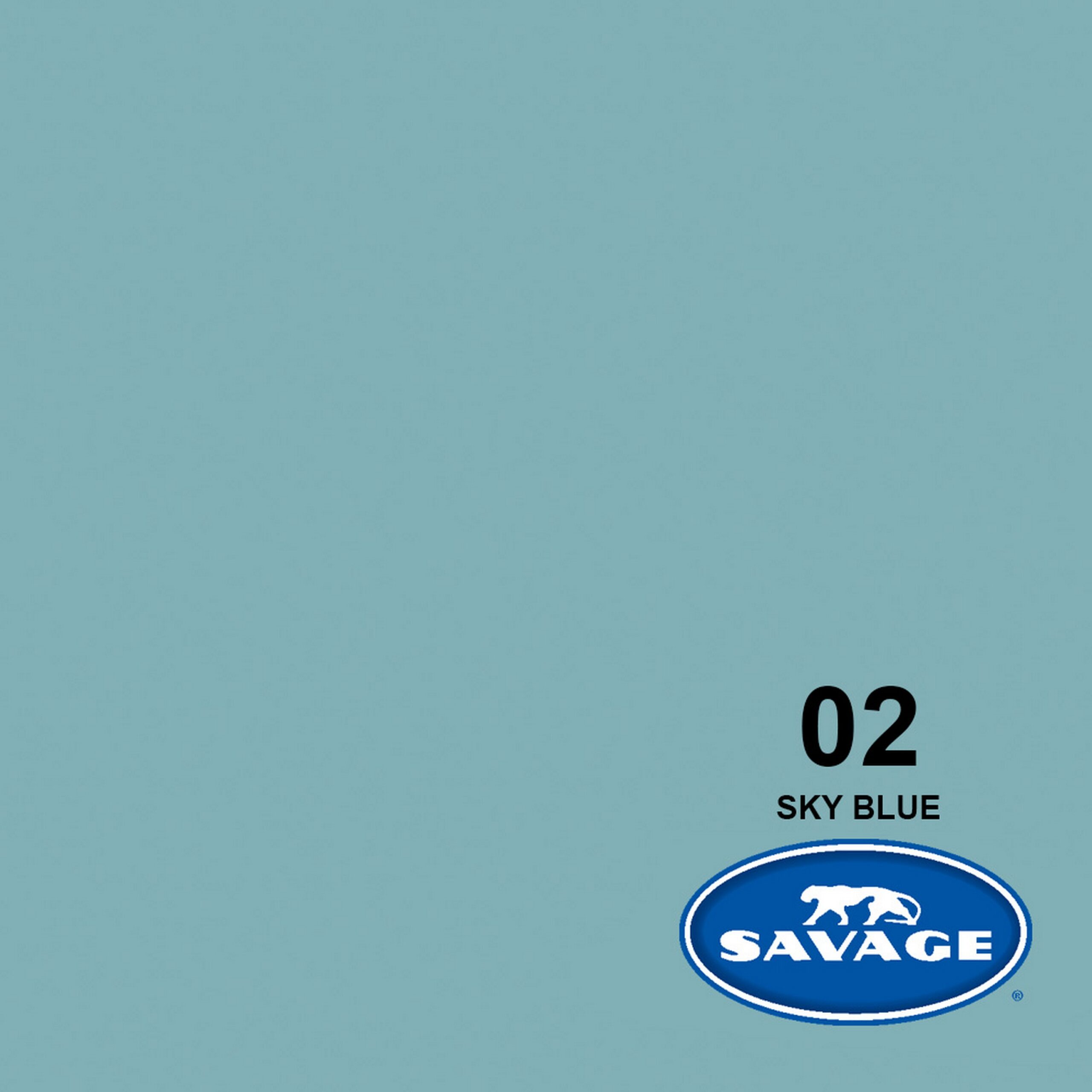 Savage Sky Blue Widetone Seamless Background Paper, 107-Inch x 50-Yards
