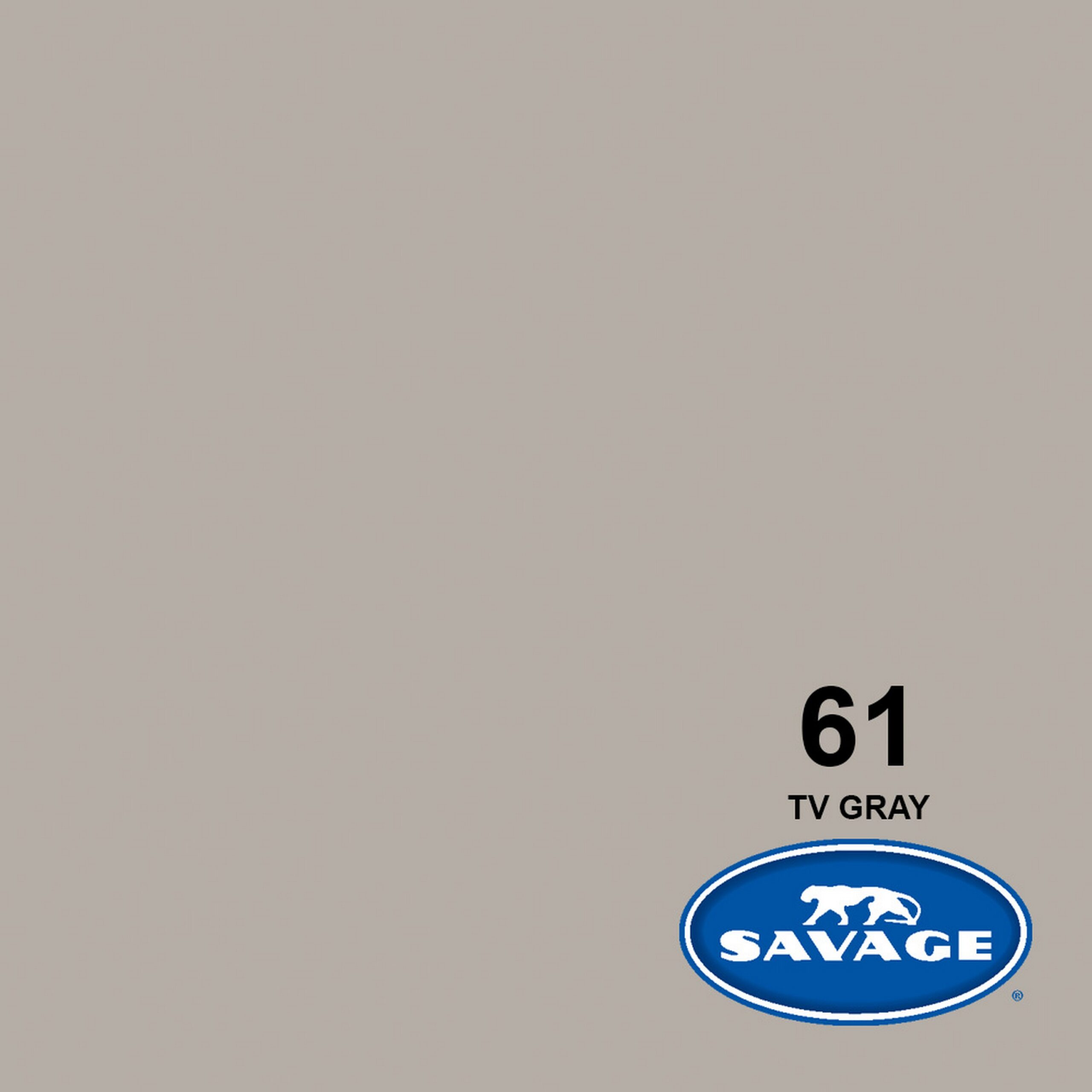 Savage 107-Inch x 50-Yards TV Gray Widetone Premium Seamless Background Paper
