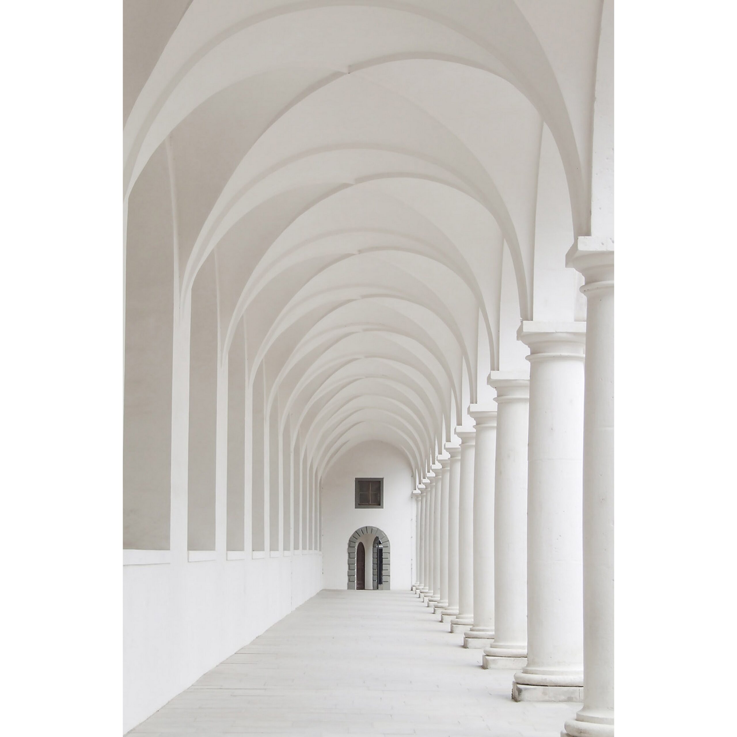 Savage 5 x 7-Foot High-Quality Printed Vinyl Photography Background with White Walkway Design