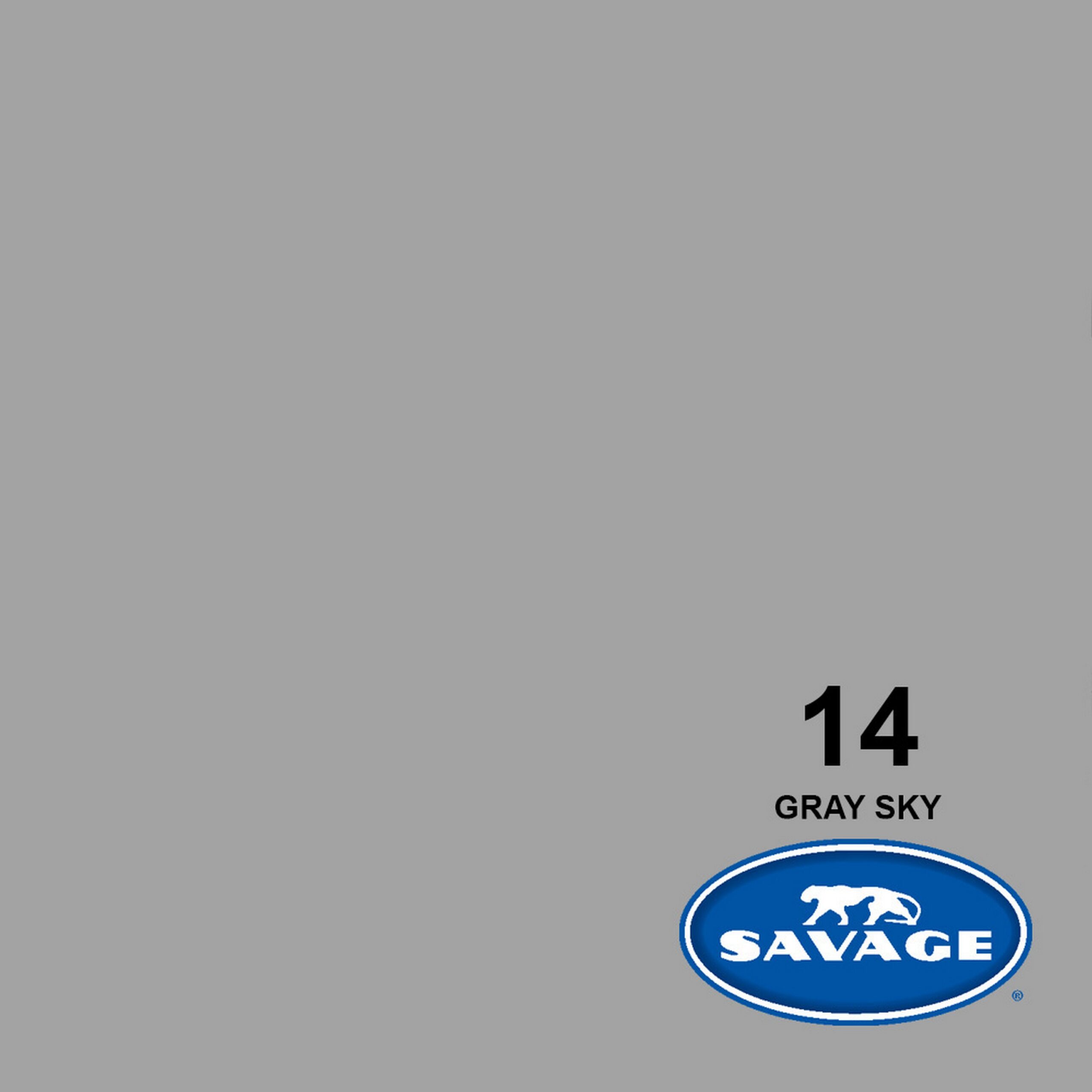 Savage 107-Inch by 50-Yards Gray Sky Widetone Seamless Background Paper