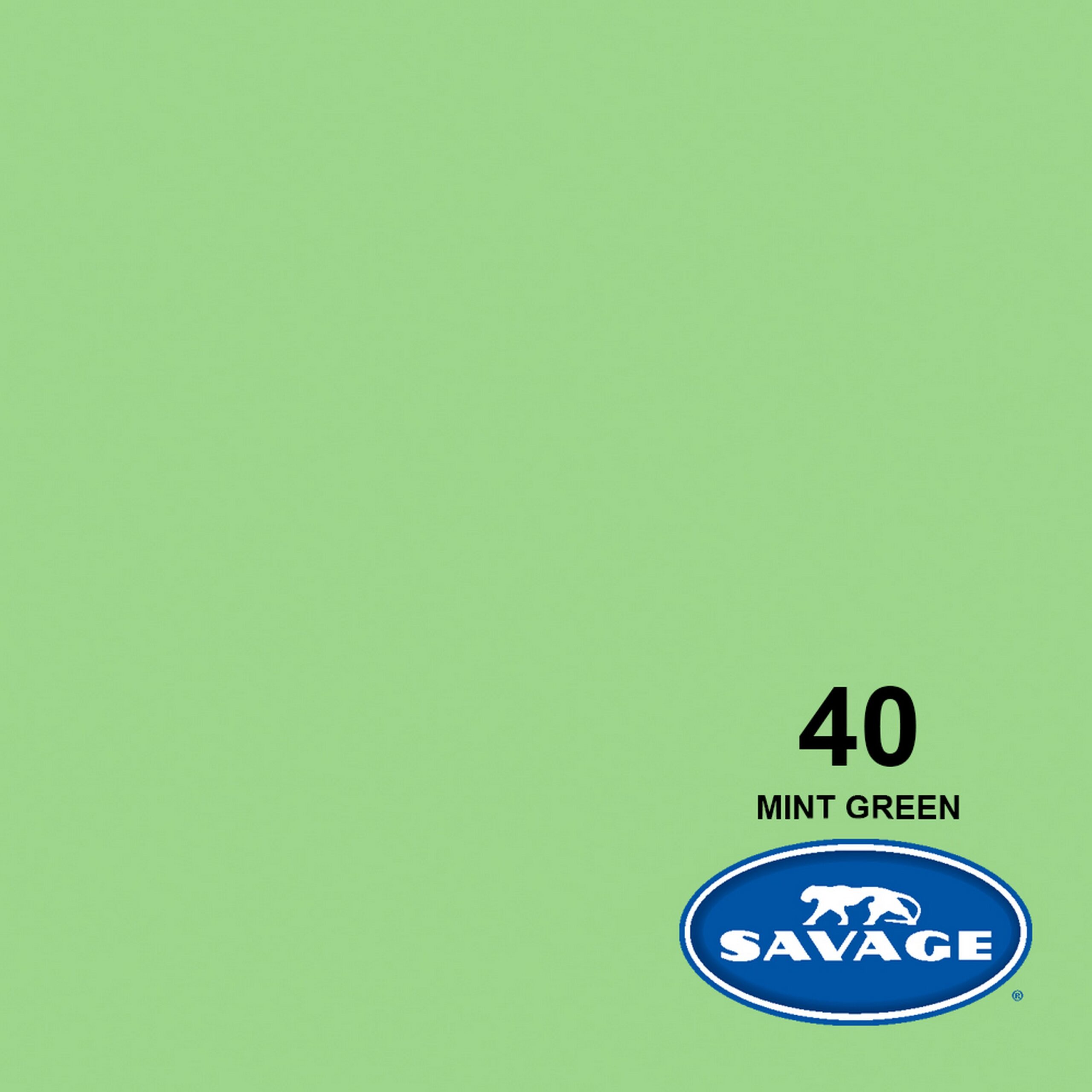 Savage Mint Green 107-Inch x 50-Yards High-Quality Widetone Seamless Background Paper
