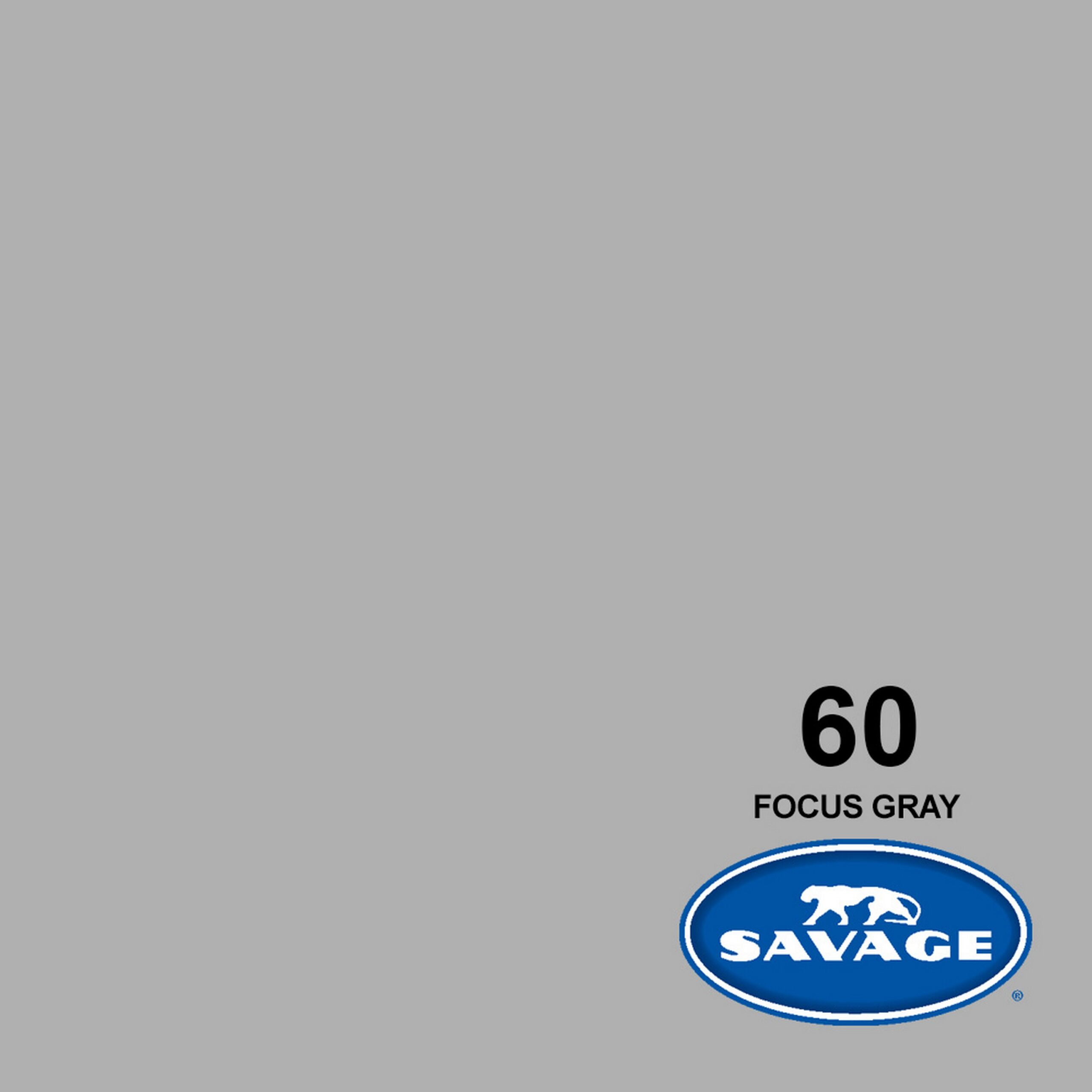 Savage 107-Inch x 50-Yards Focus Gray Widetone Smooth Seamless Background Paper