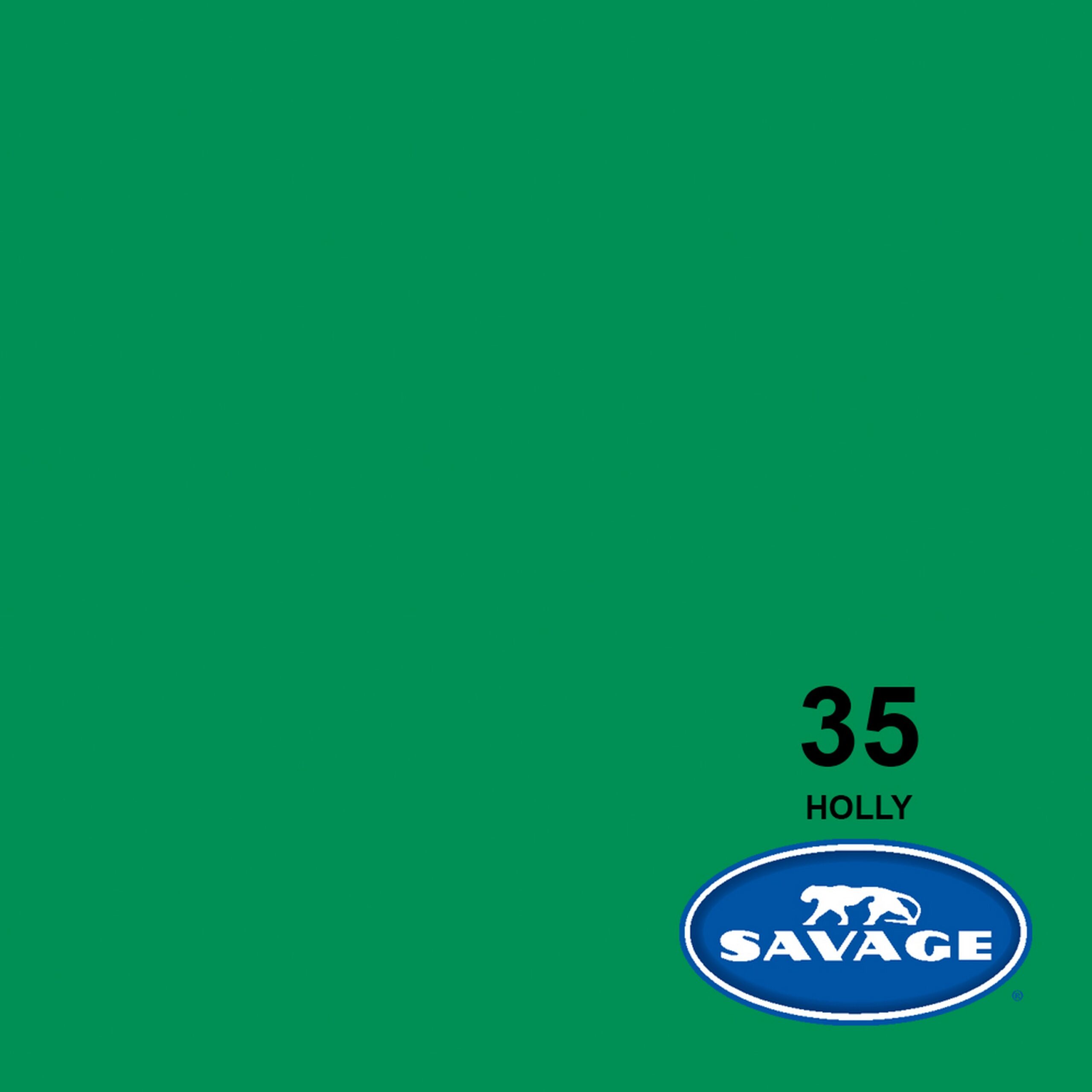 Savage High - Quality 107 - Inch by 50 - Yards Widetone Seamless Background Paper in Holly Color for Photography and Crafts