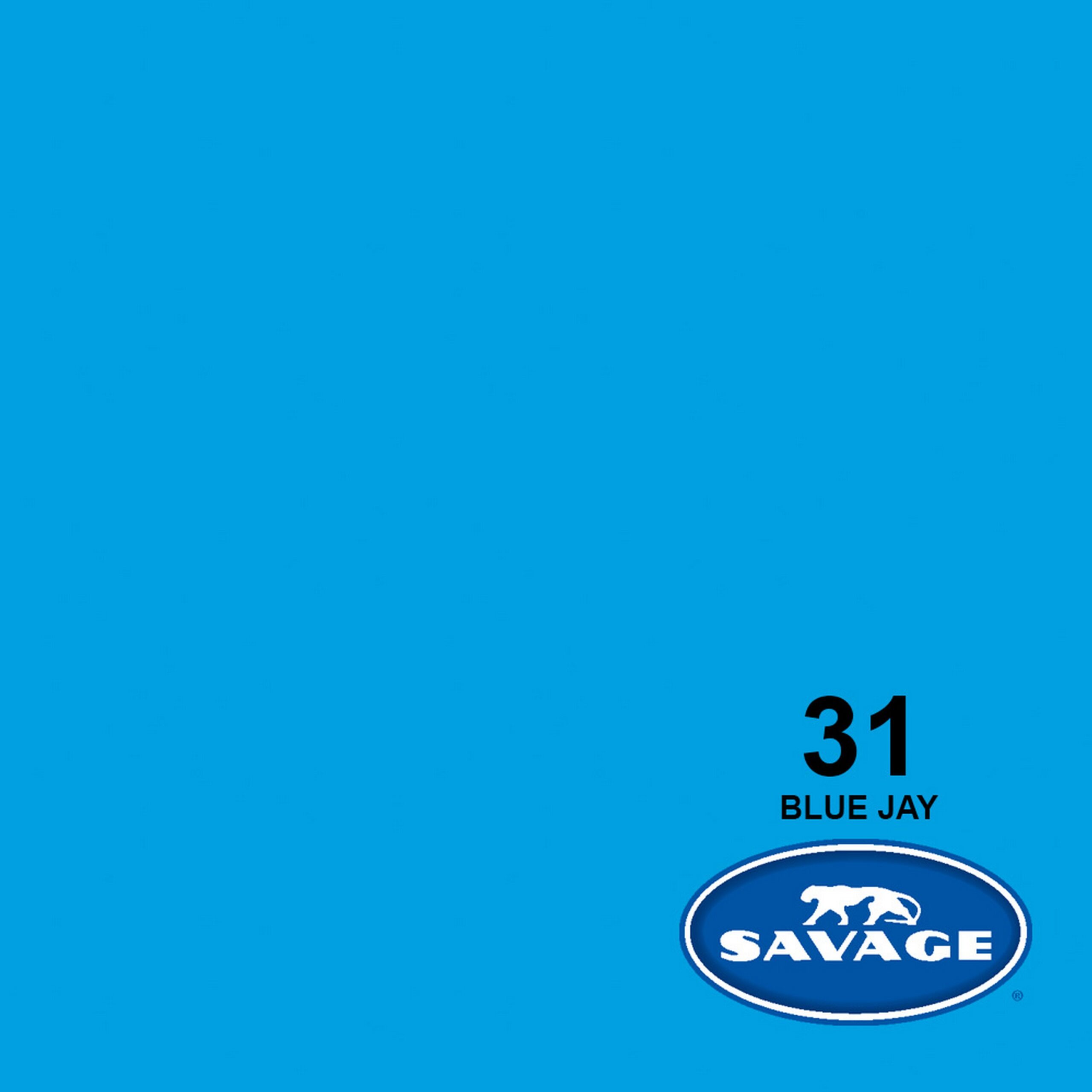 Savage High - Quality 107 - Inch by 50 - Yards Widetone Seamless Photography and Crafting Background Paper in Blue Jay Color