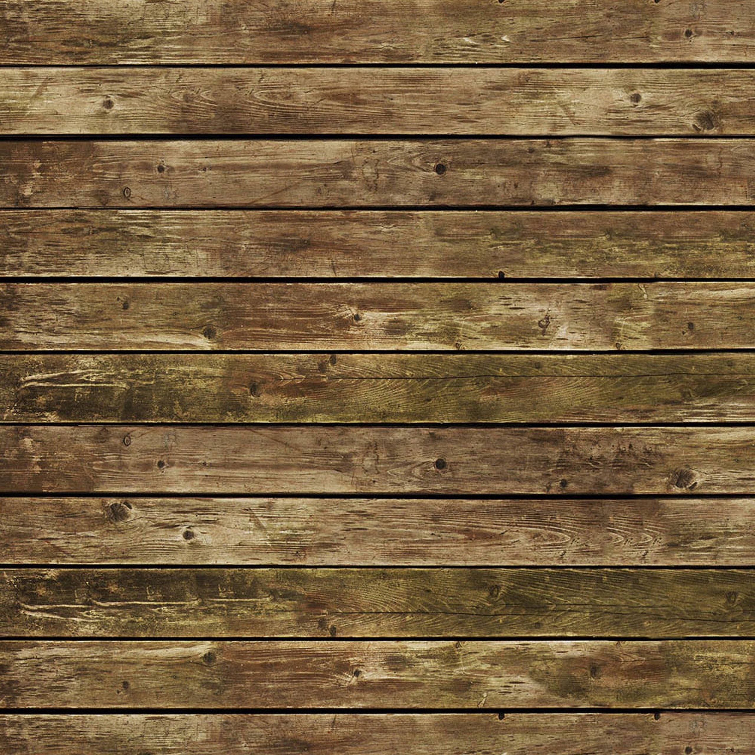 Savage 53-Inch by 18-Feet High-Quality Printed Paper Photography Background