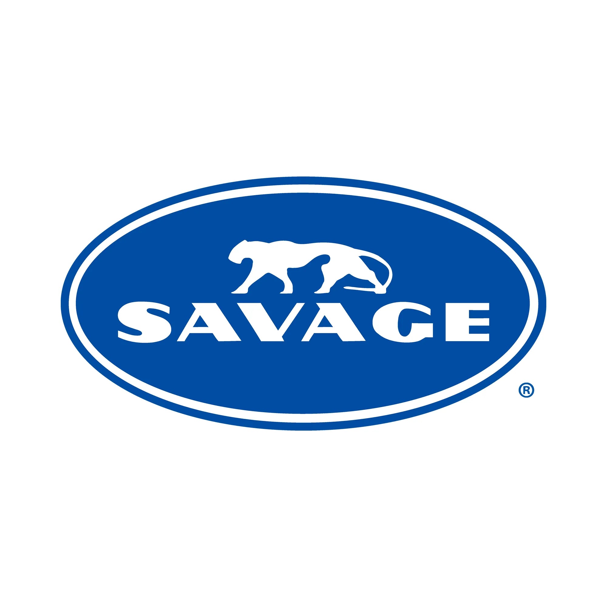 Savage 107-Inch x 50-Yards Tru Blue Widetone Seamless Photography Background Paper