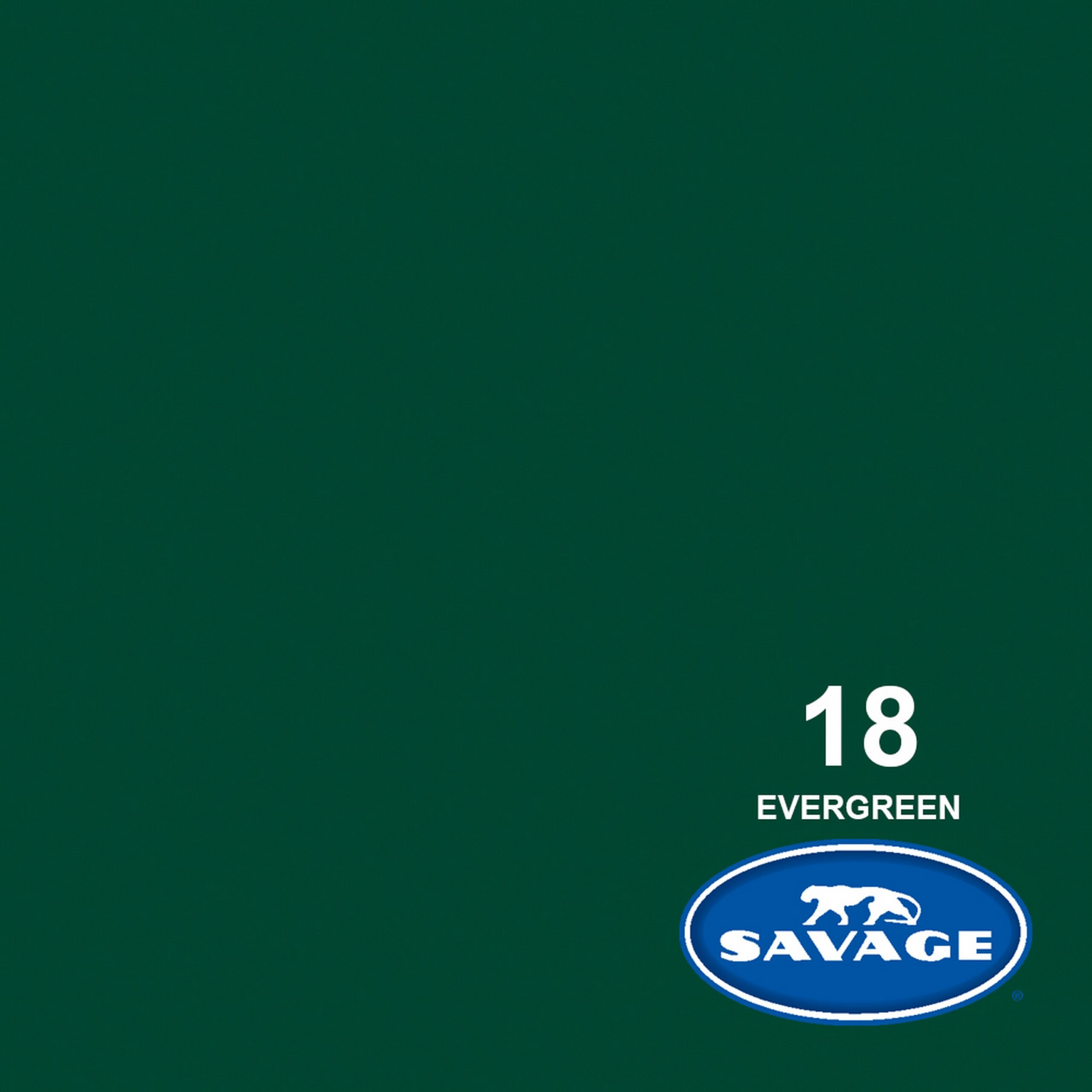 Savage Evergreen Widetone Seamless Photography Background Paper, 107-Inch Width and 50-Yards Length