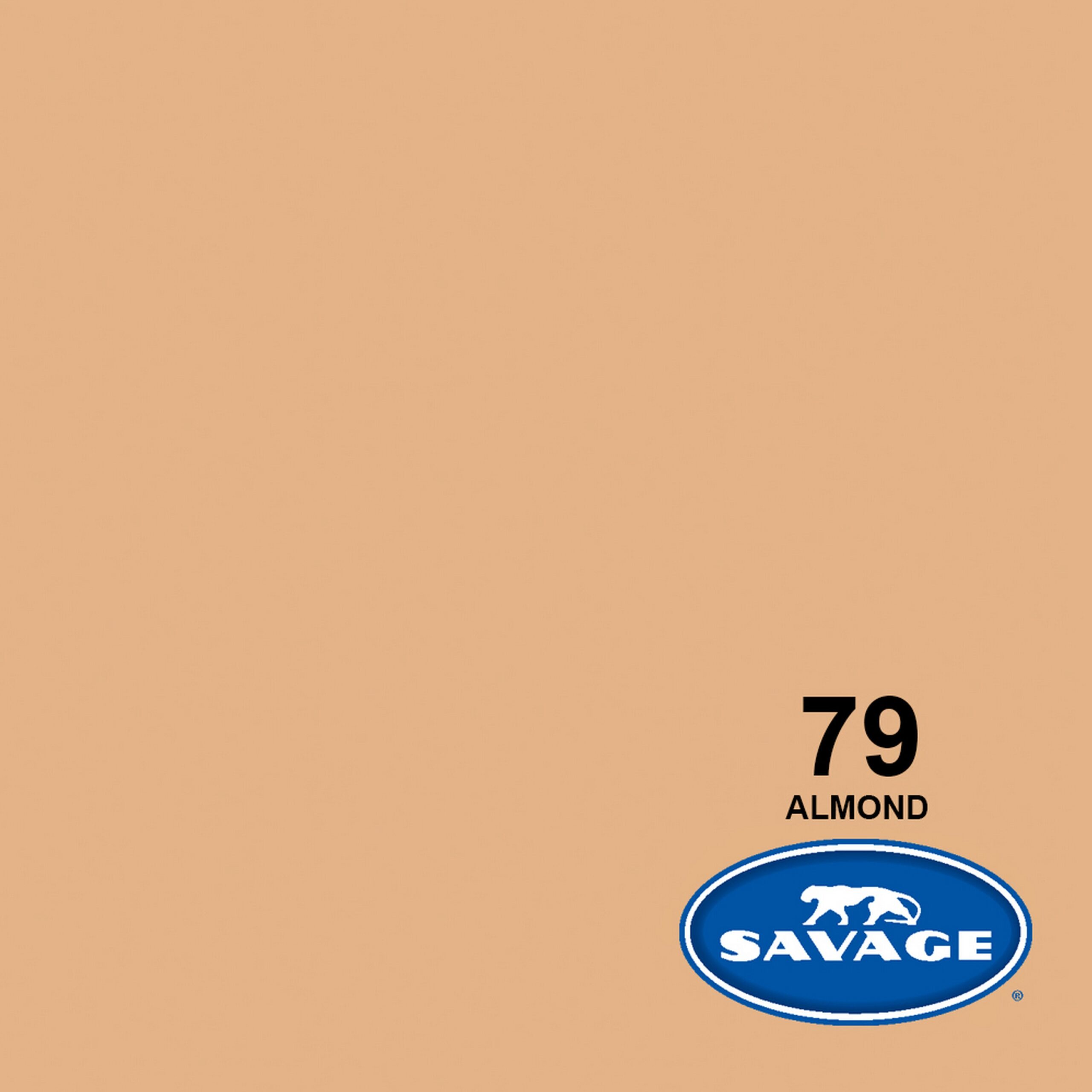 Savage Professional 107-Inch by 50-Yards Widetone Almond-colored Seamless Background Paper for Photography and Crafts
