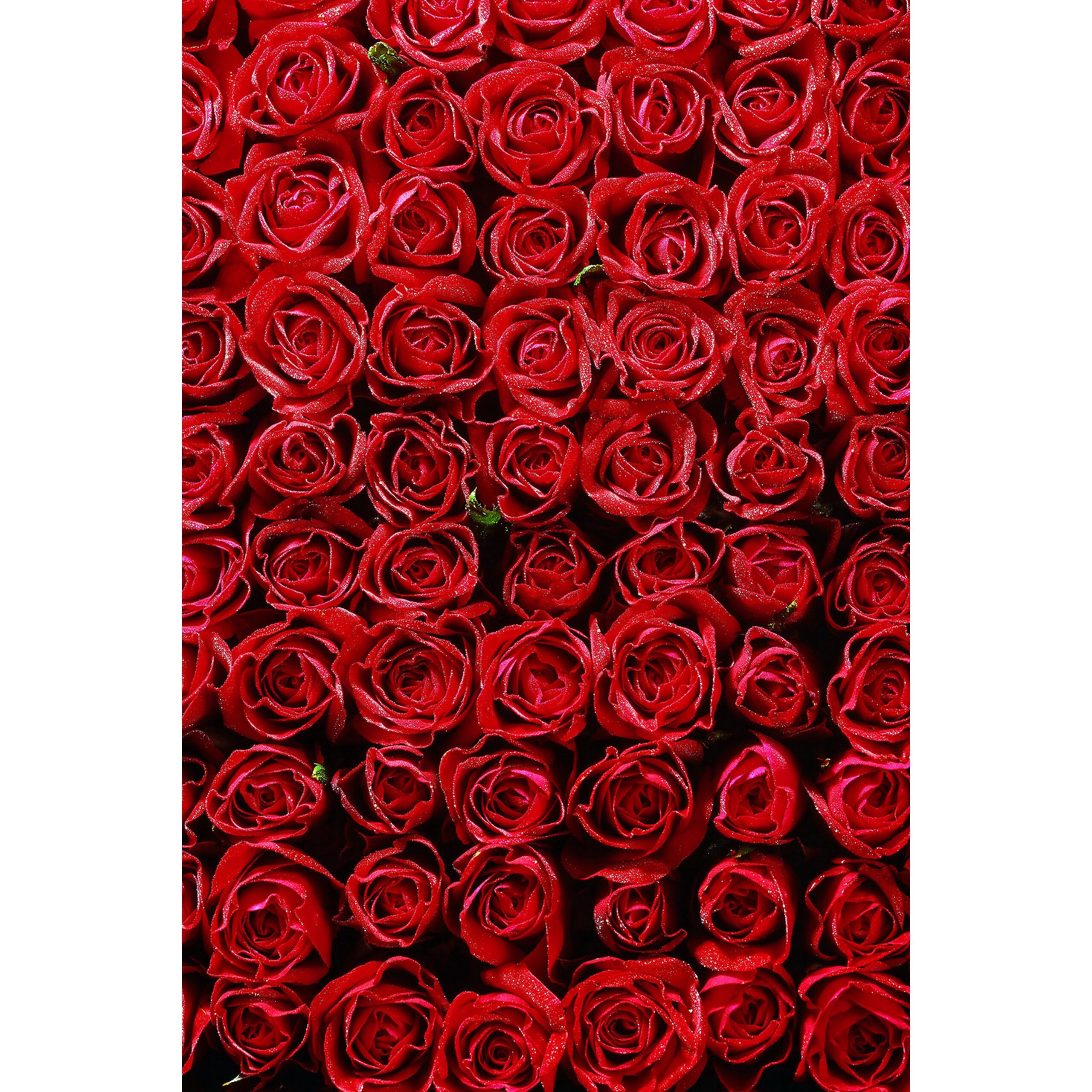 Savage 5 x 7-Foot High-Quality Printed Vinyl Photography Background with Romantic Rose Design