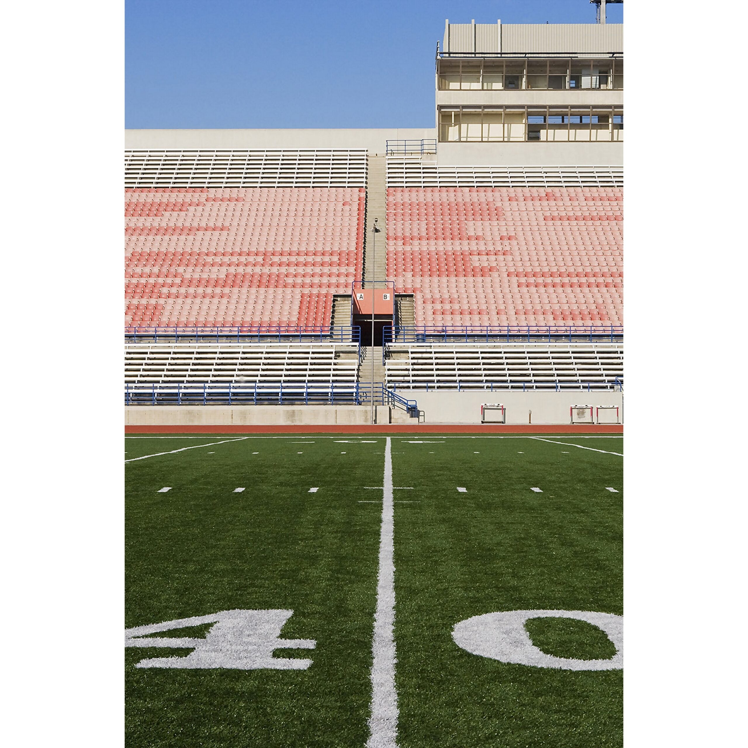 Savage 5x7-Foot Matte Glare-Free Printed Vinyl Football Field Background