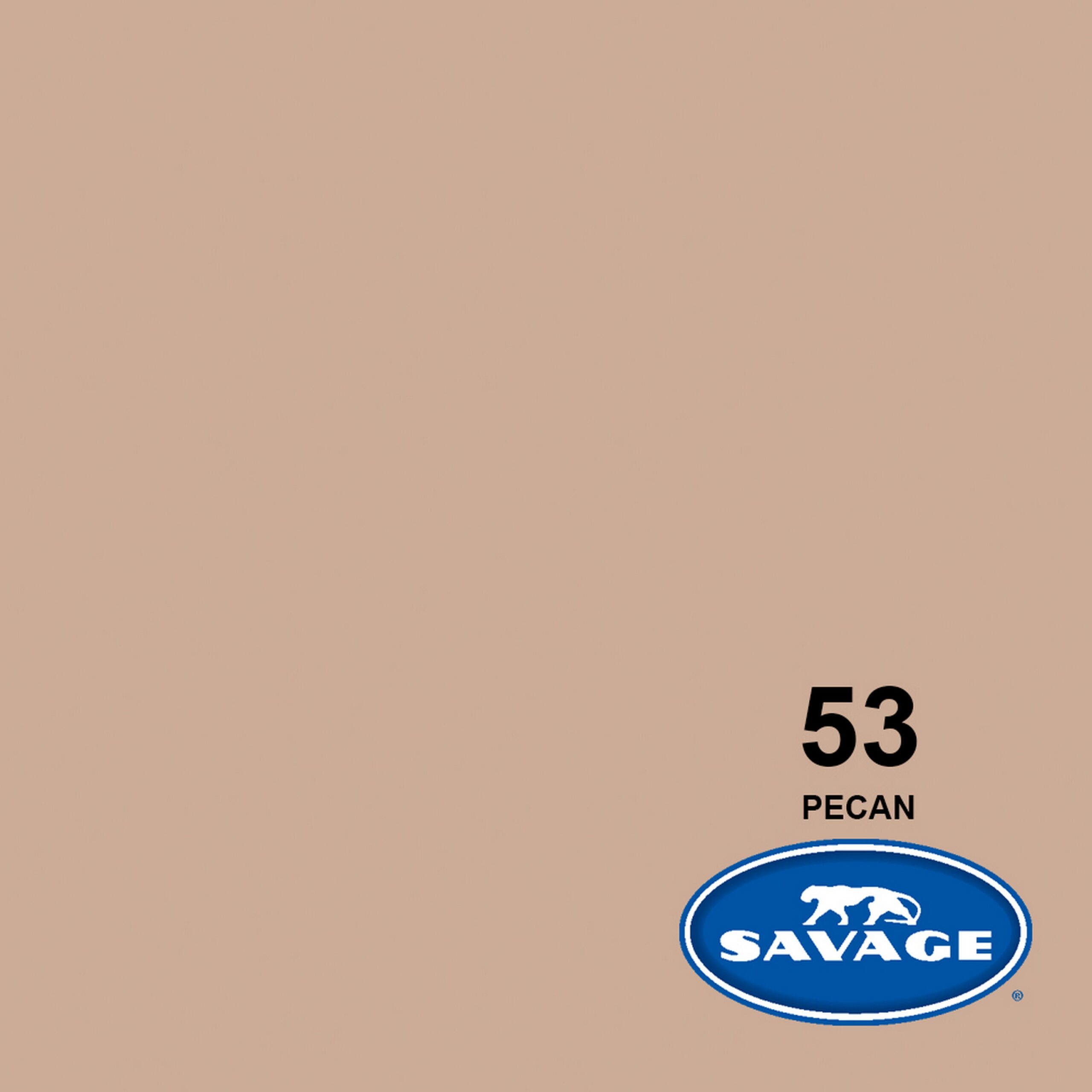 Savage 107-Inch by 50-Yards Pecan Widetone Seamless Photo Background Paper