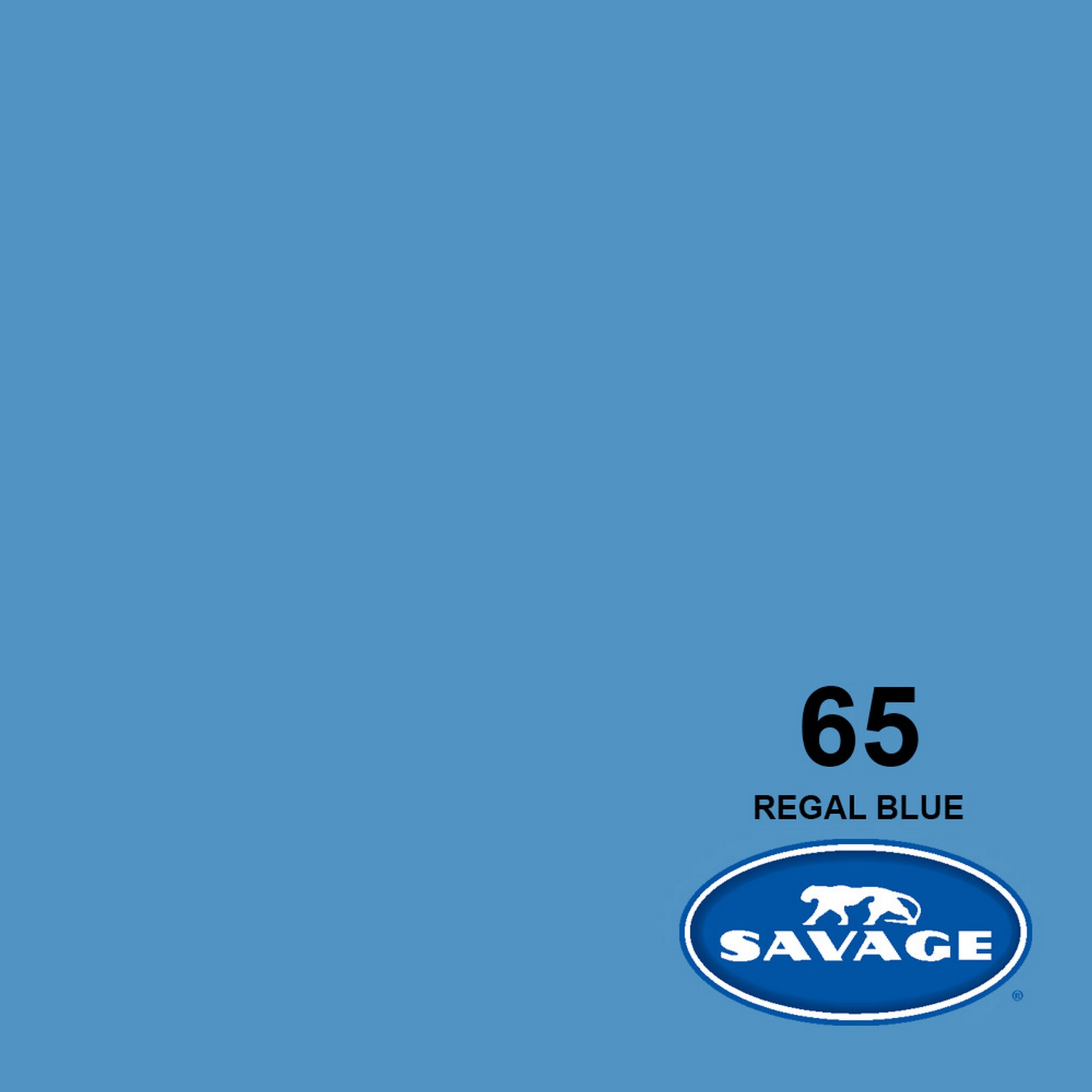 Savage Professional-Grade 107-Inch x 50-Yards Widetone Seamless Background Paper in Stunning Regal Blue for Photography and Crafting