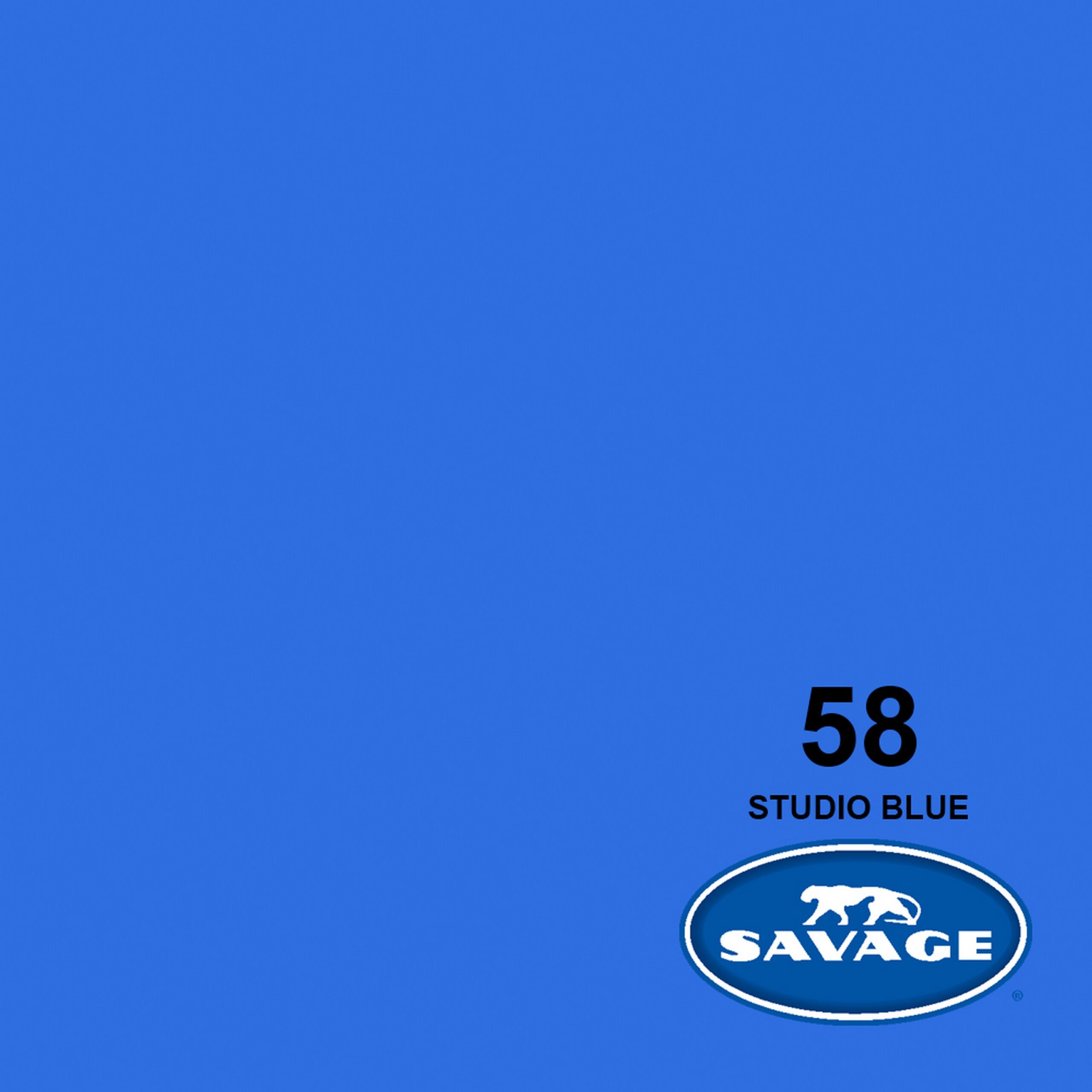 Savage Studio Blue 107-Inch by 50-Yards Widetone Premium Seamless Background Paper for Photography and Crafts