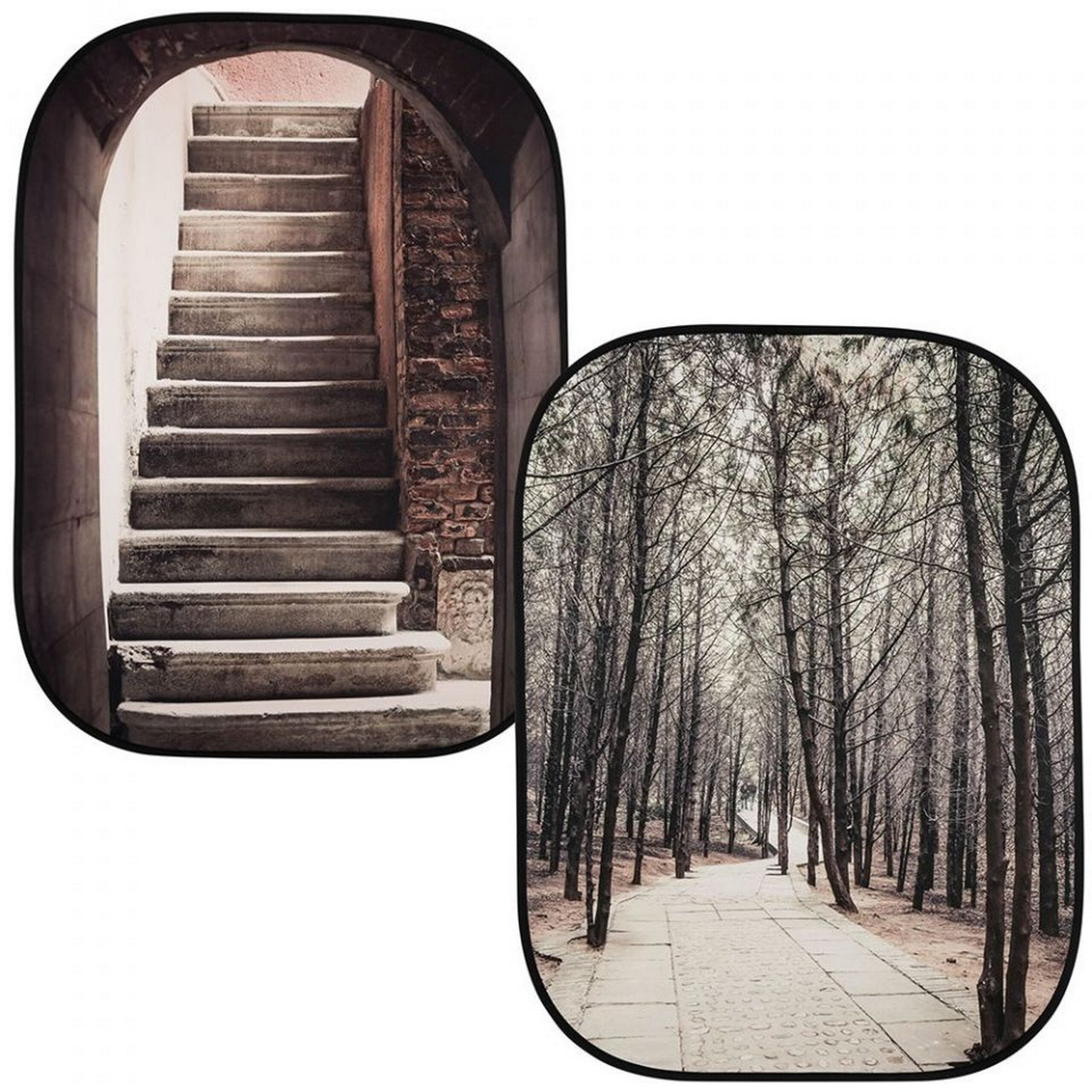 Lastolite LB5740 Collapsible Photography Background in 5 x 7 Foot Size from Perspective Collection with Steps and Trees Design
