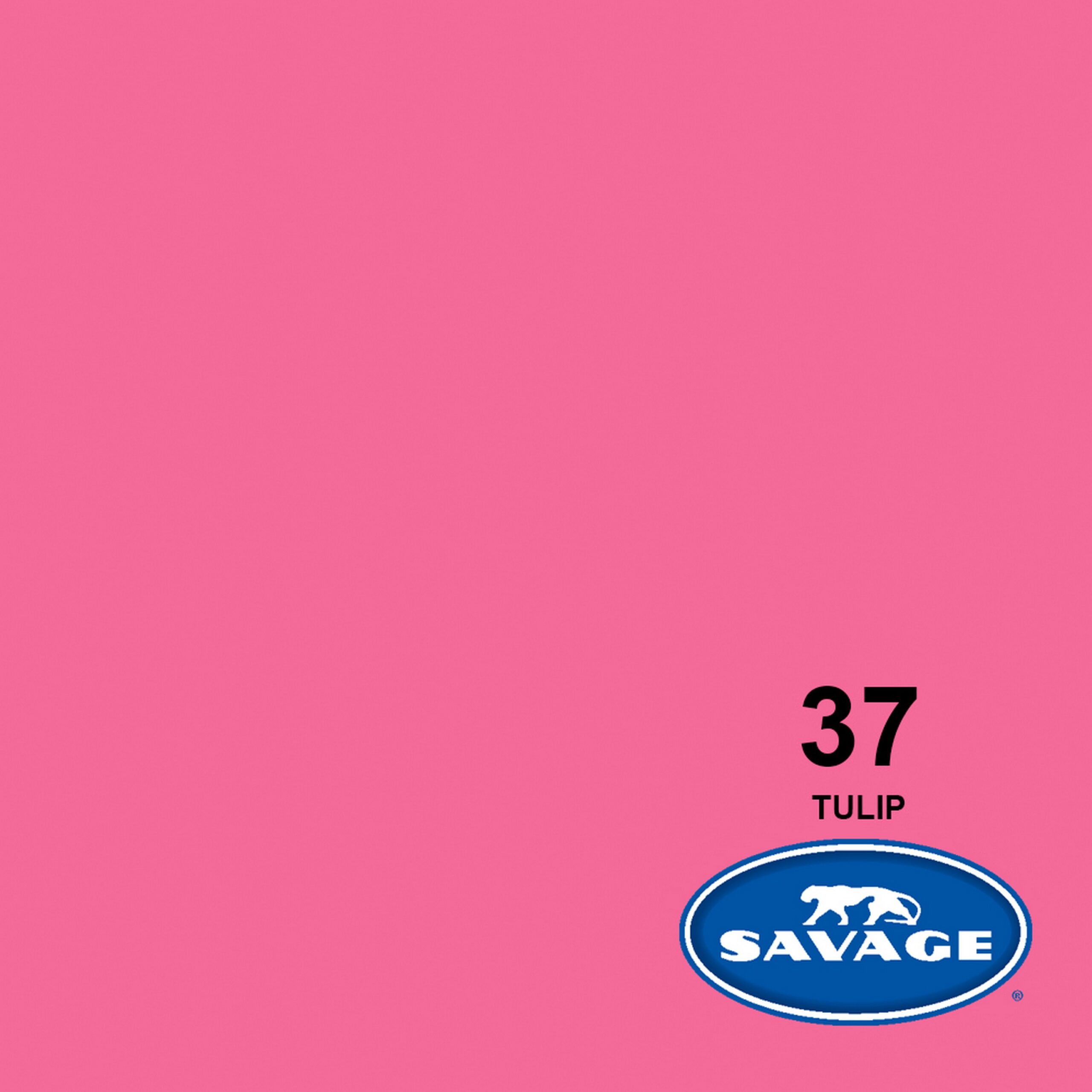 Savage 107-Inch by 50-Yards Wide-Toned Seamless Photography and Crafting Background Paper in Tulip Color
