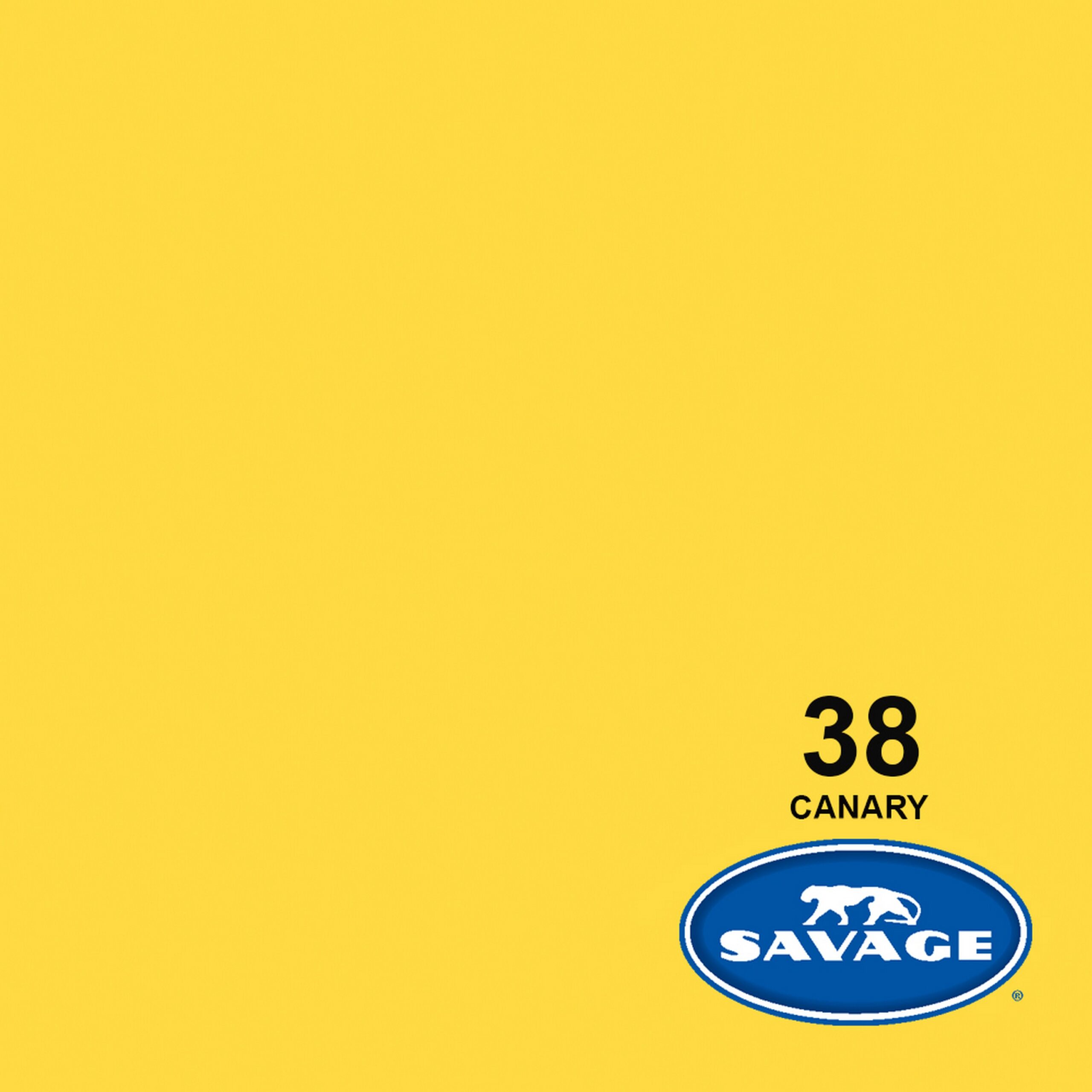Savage Canary Widetone Seamless Background Paper, 107-Inch x 50-Yards