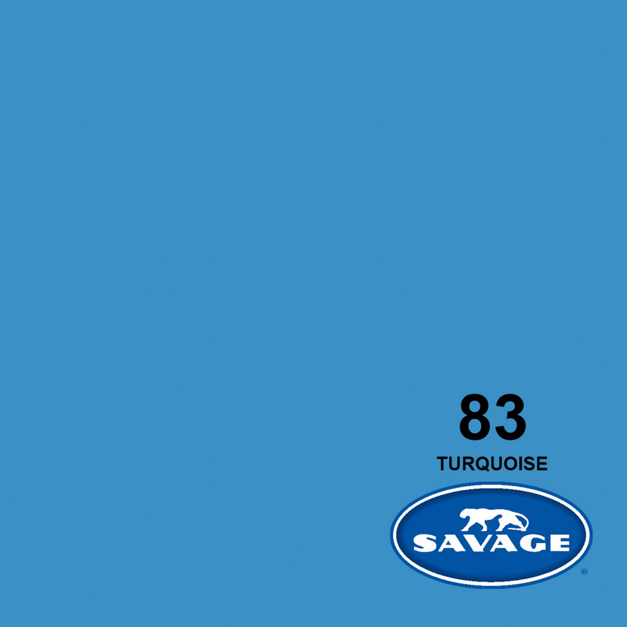 Savage Turquoise Widetone Seamless Background Paper, 107-Inch x 50-Yards