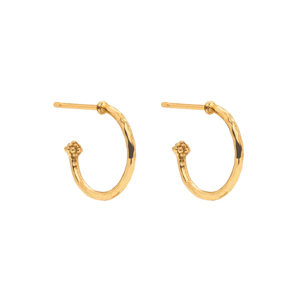 Capucine De Wulf Reversible Abalone/Mother of Pearl Aurora Hoop Earrings with Gilded Berry