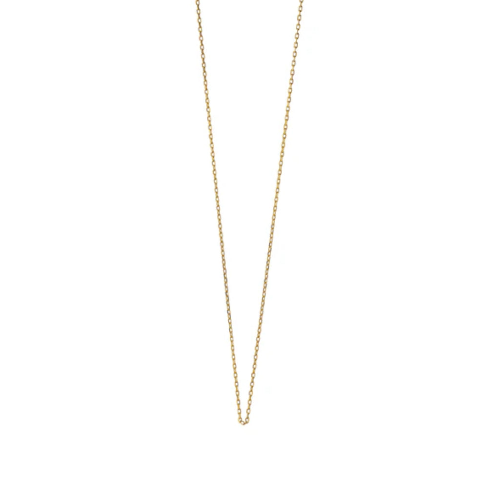 Monica Rich Kosann 18k Yellow Gold Delicate Jamie Diamond-Cut Chain