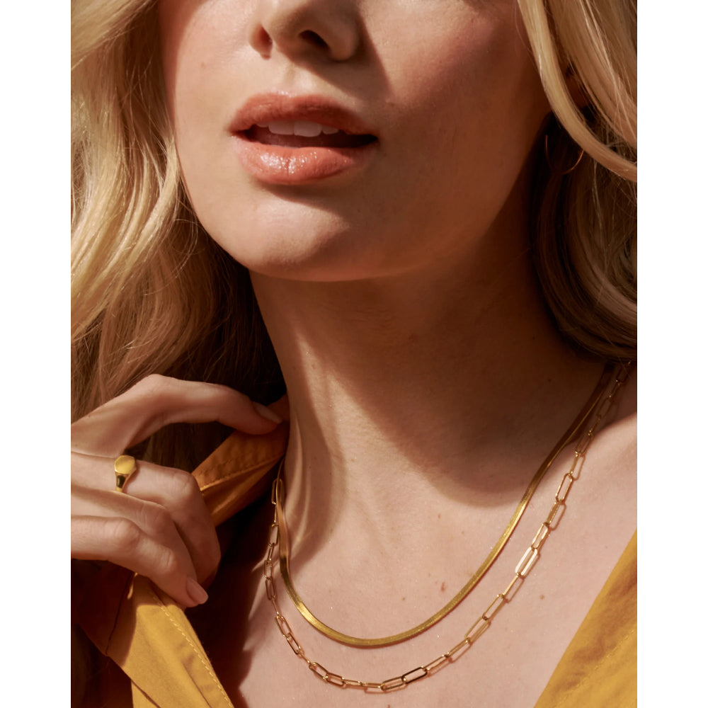 Exquisite Kendra Scott Davis Signet Ring Crafted in 18k Gold Vermeil for Timeless Elegance